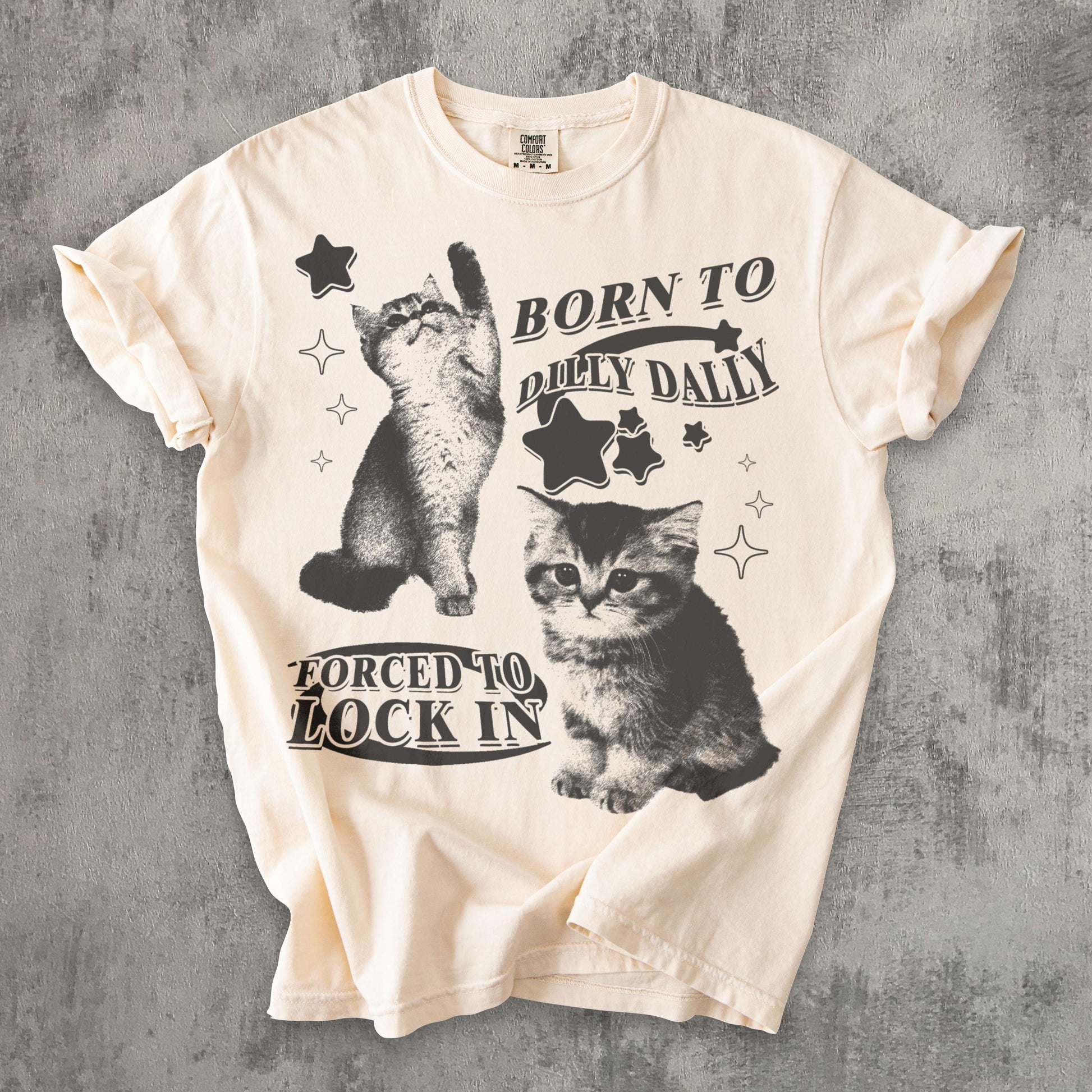 Born Dilly Dally Forced Lock Y2k Kitten Cat Meme Silly Cats Tee Comfort Colors Ironic Tees Cat Lover - T-Shirt, Sweatshirt, Hoodie