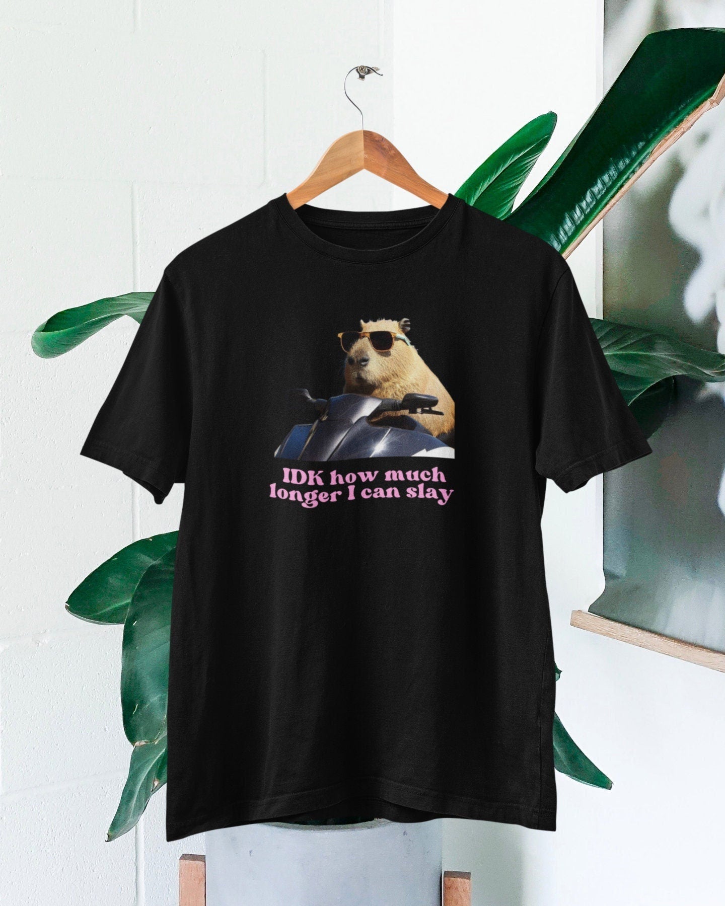 Capybara Slay Tiktok Fan Unisex T-shirt, Sweatshirt, Hoodie - T-Shirt, Sweatshirt, Hoodie