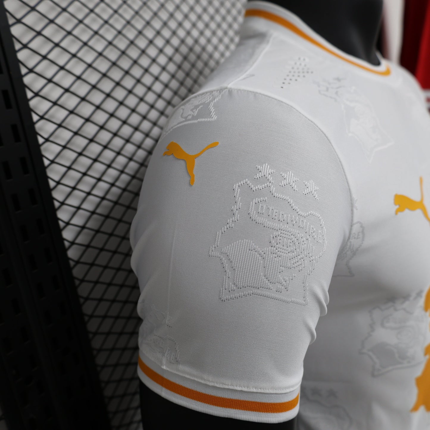2026 Ivory Coast Special Edition Player Version Jersey sports jersey product view 3