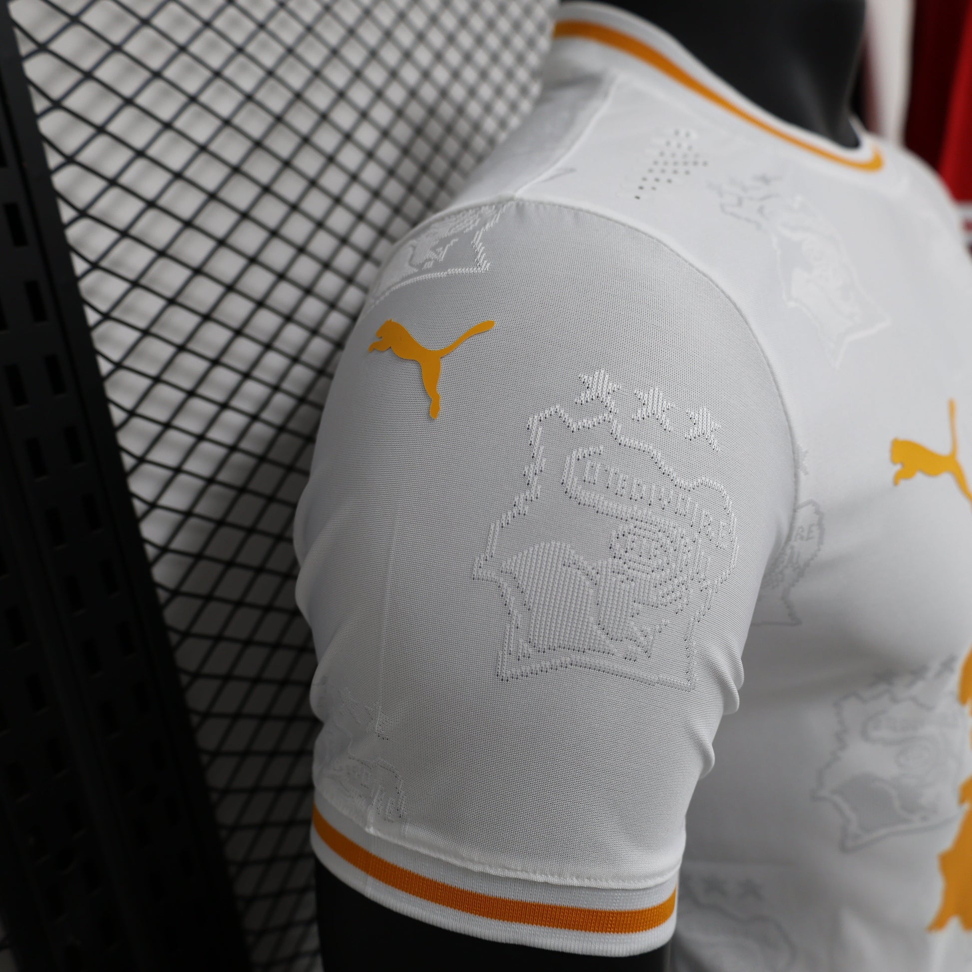 2026 Ivory Coast Special Edition Player Version Jersey sports jersey product view 3