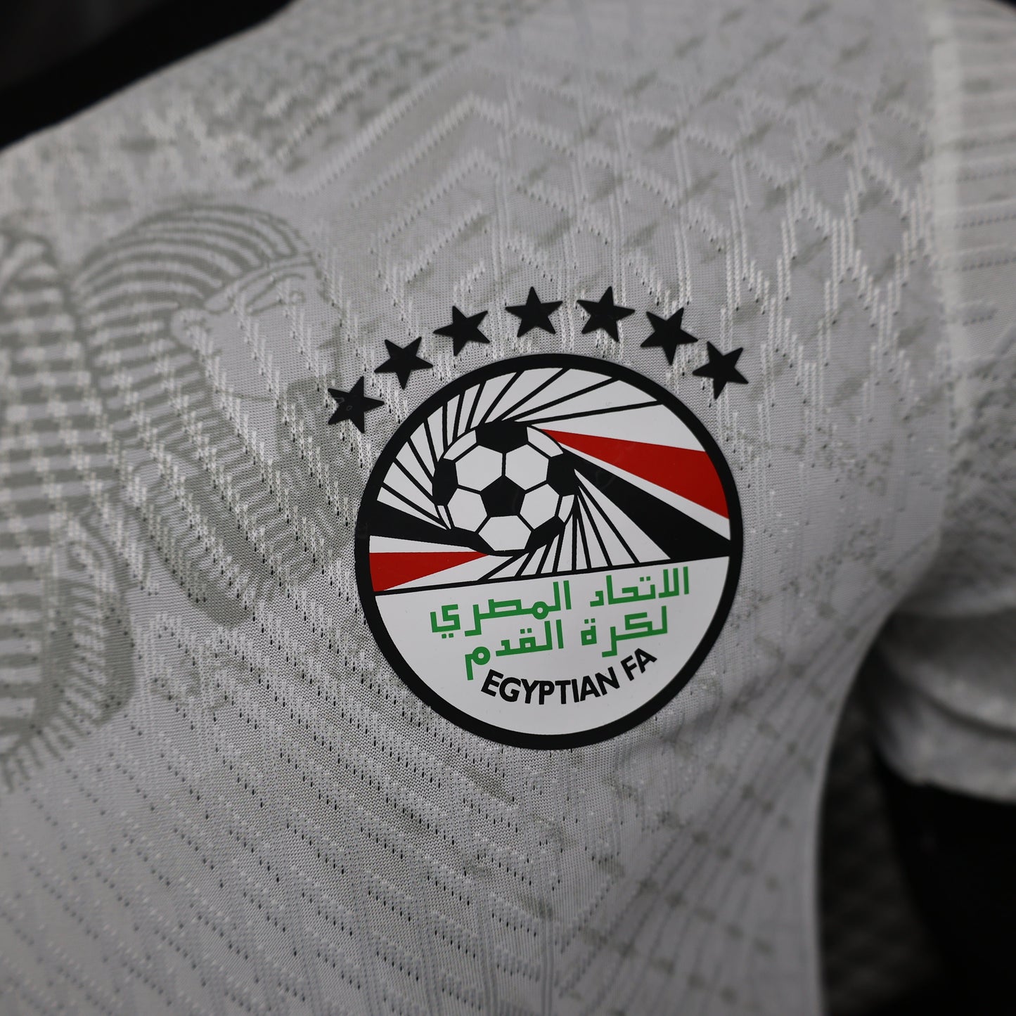 2026 Egypt Away Player Version Jersey sports jersey product view 3