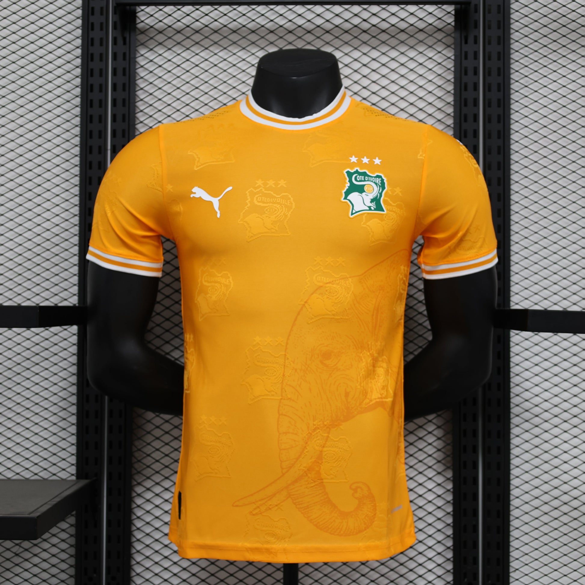 2026 Ivory Coast Orange Player Version Jersey sports jersey product view 1