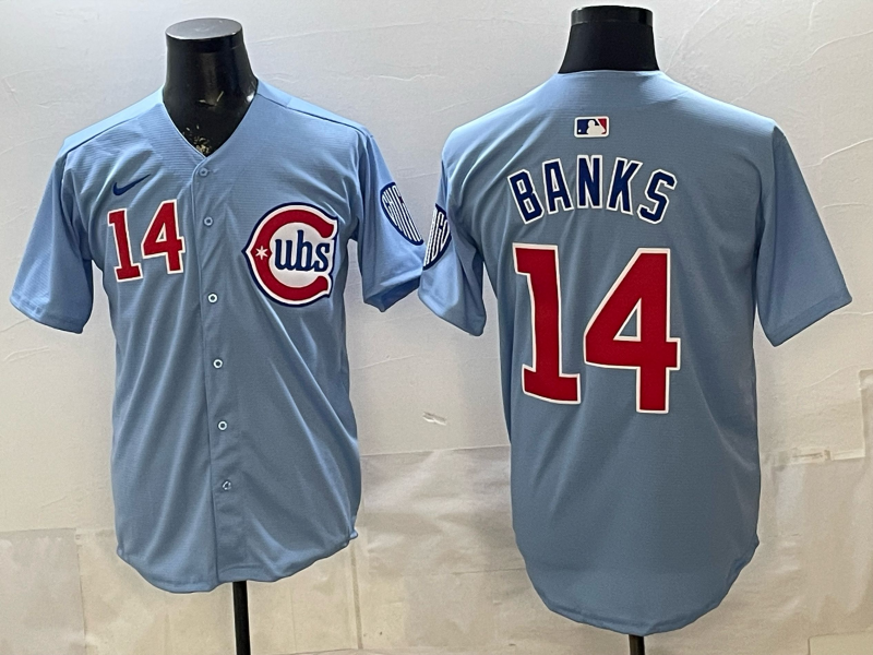 Men's Chicago Cubs Ernie Banks #14 Baby Blue 2nd Alternate Limited Player Jersey baseball jersey product view 1