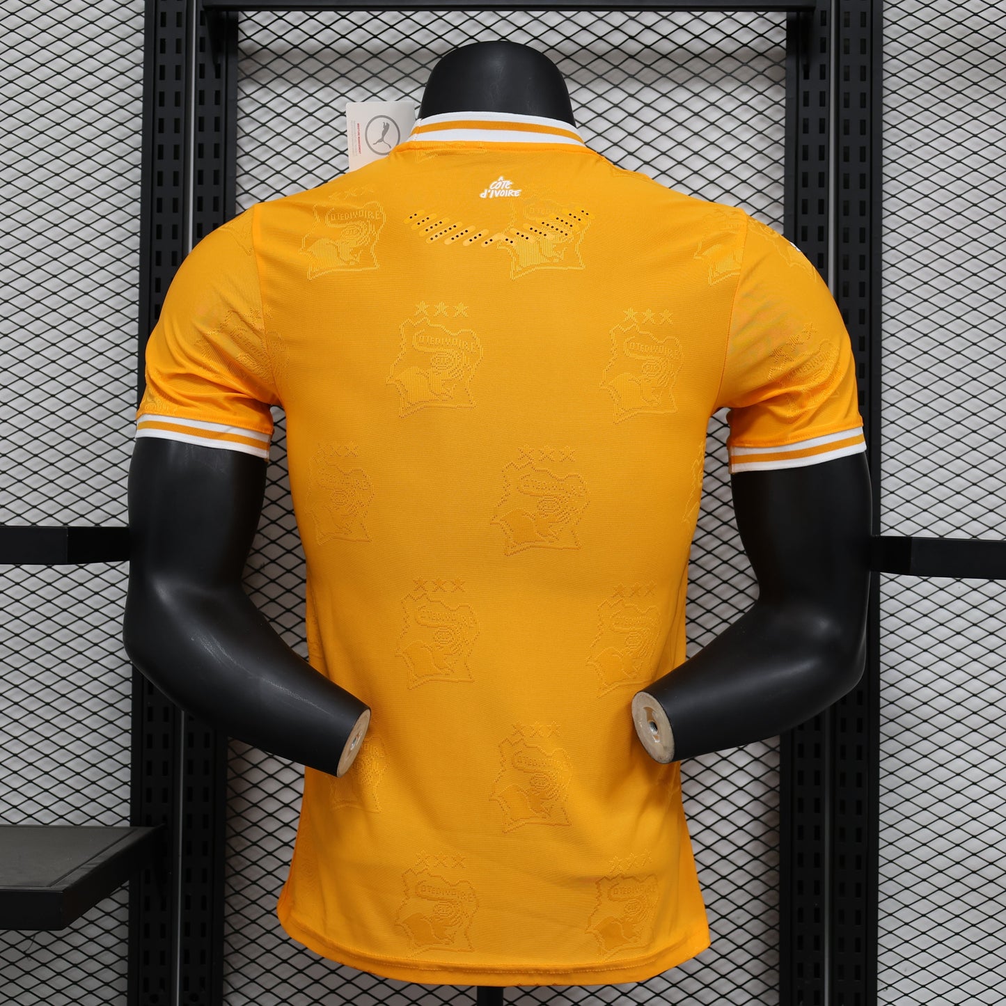 2026 Ivory Coast Orange Player Version Jersey sports jersey product view 2