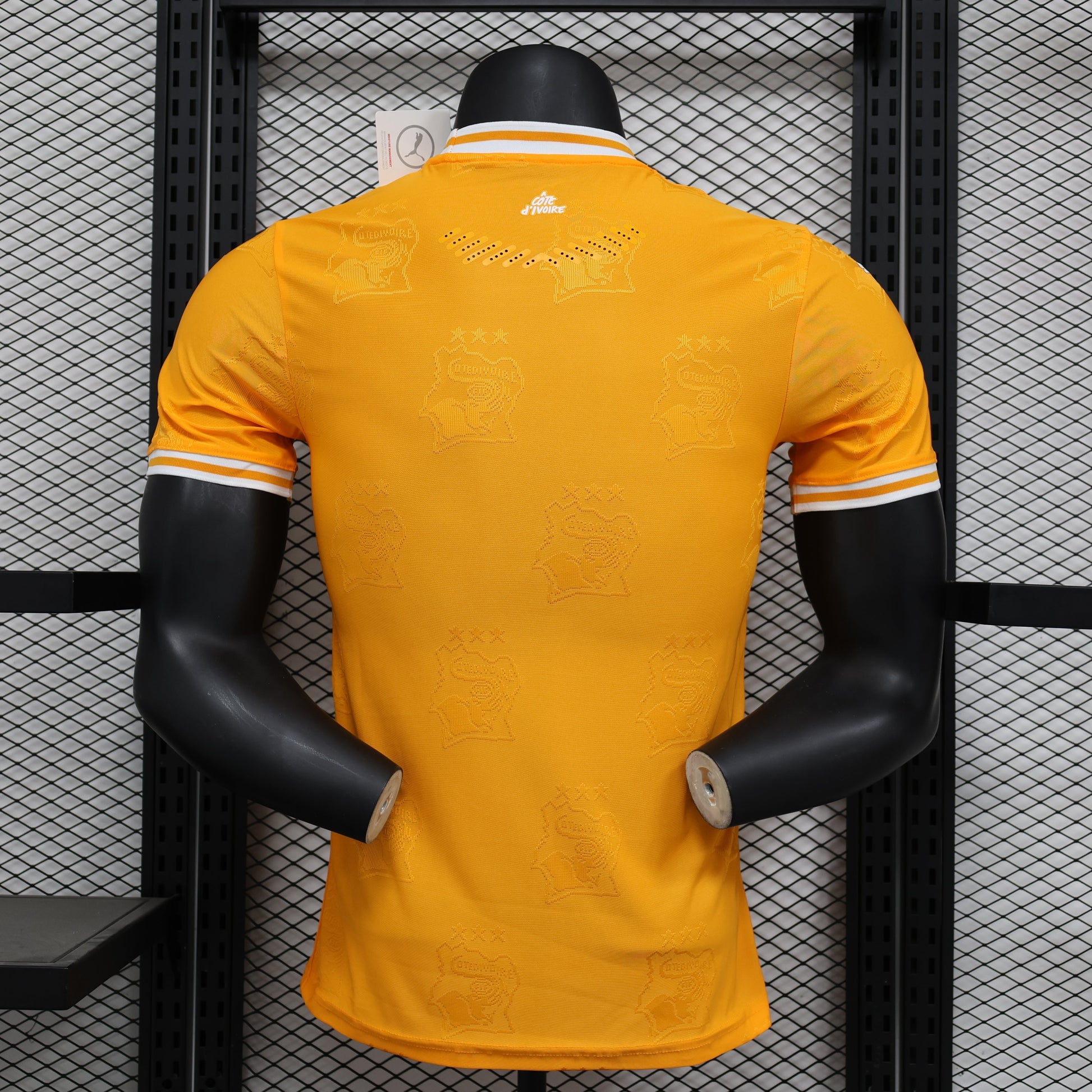 2026 Ivory Coast Orange Player Version Jersey sports jersey product view 2