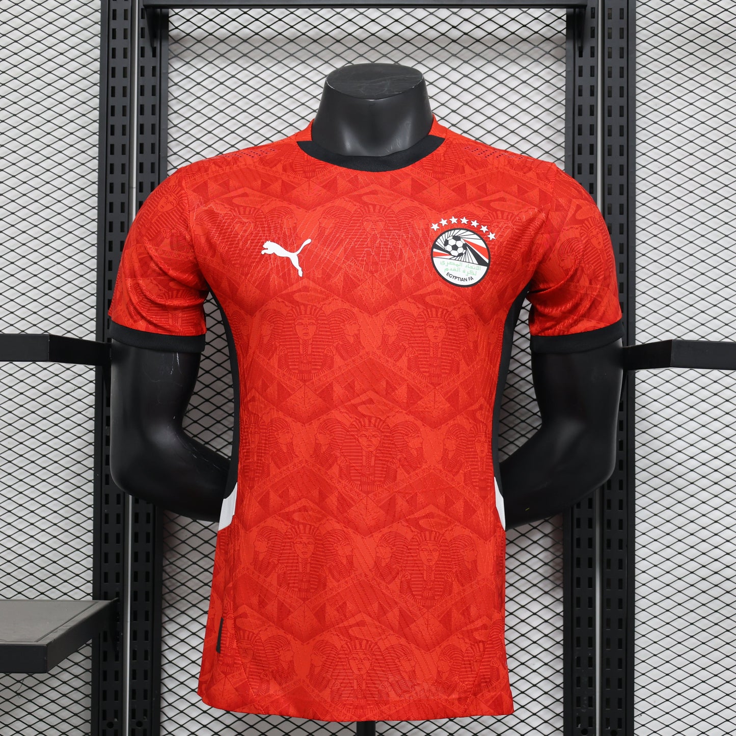 2026 Egypt Home Player Version Jersey (Perforated) sports jersey product view 1