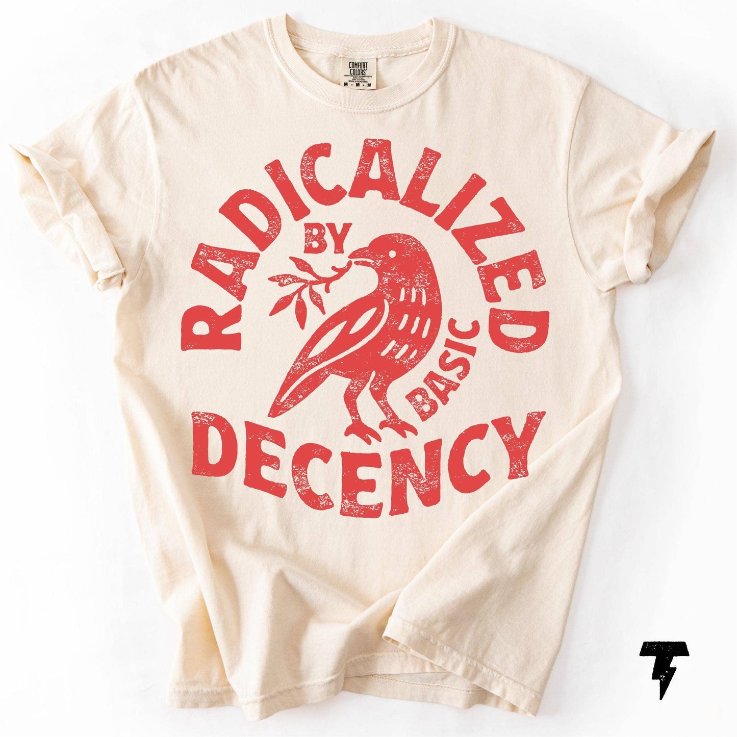 Radicalized By Basic Decency Political Protest Tee Unisex T-shirt, Sweatshirt, Hoodie, Long Sleeve Tee - T-Shirt, Sweatshirt, Hoodie