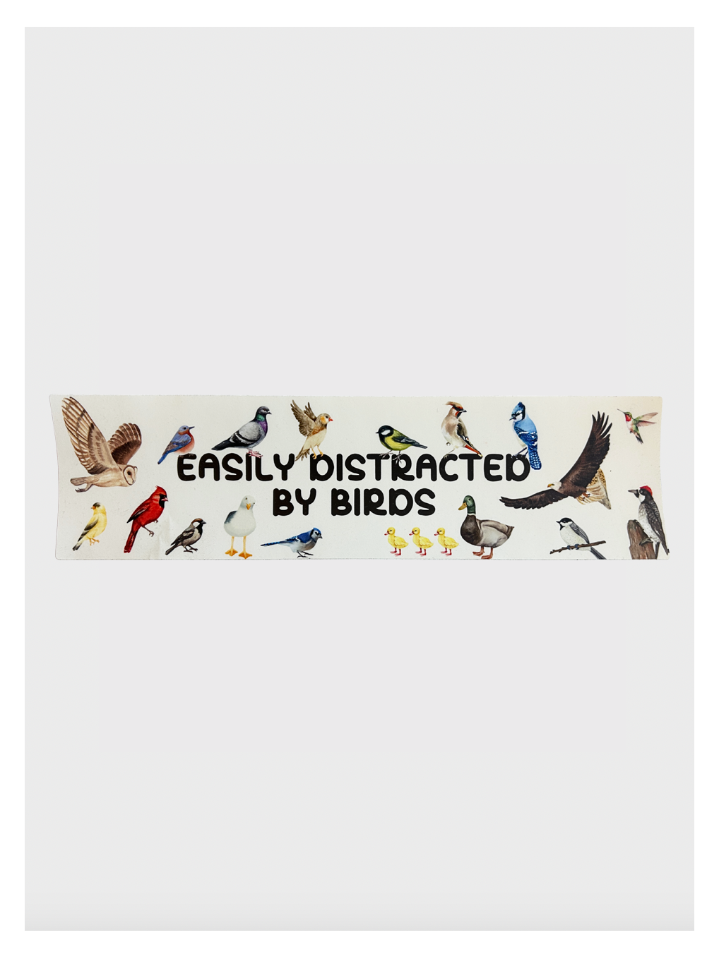 Easily Distracted By Birds Bumper Sticker Unisex T-shirt, Sweatshirt, Hoodie, Long Sleeve Tee - T-Shirt, Sweatshirt, Hoodie