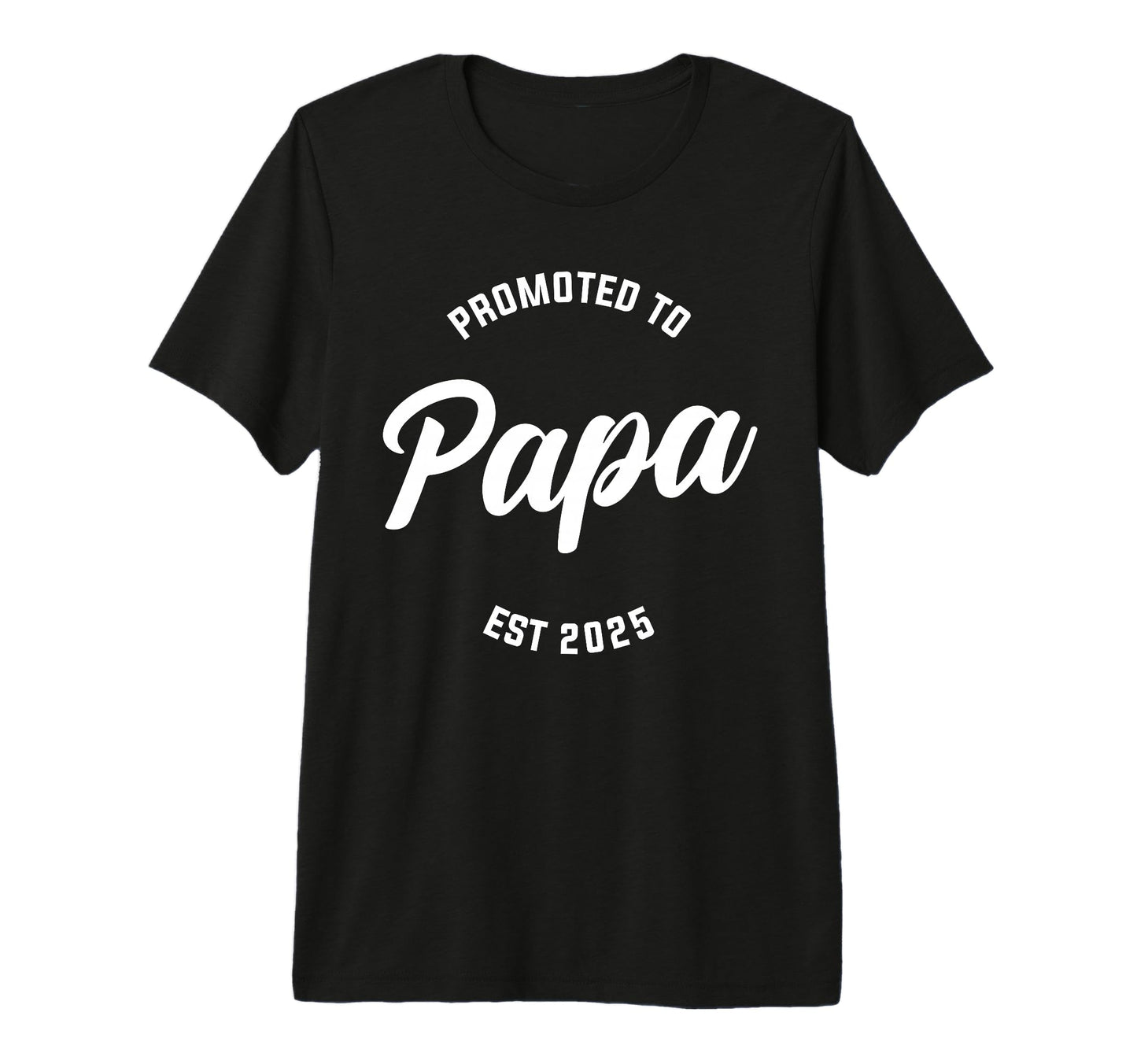 Mens Promoted To Papa Est 2025 T-Shirt - Streetwear Style for Adults - T-Shirt, Sweatshirt, Hoodie