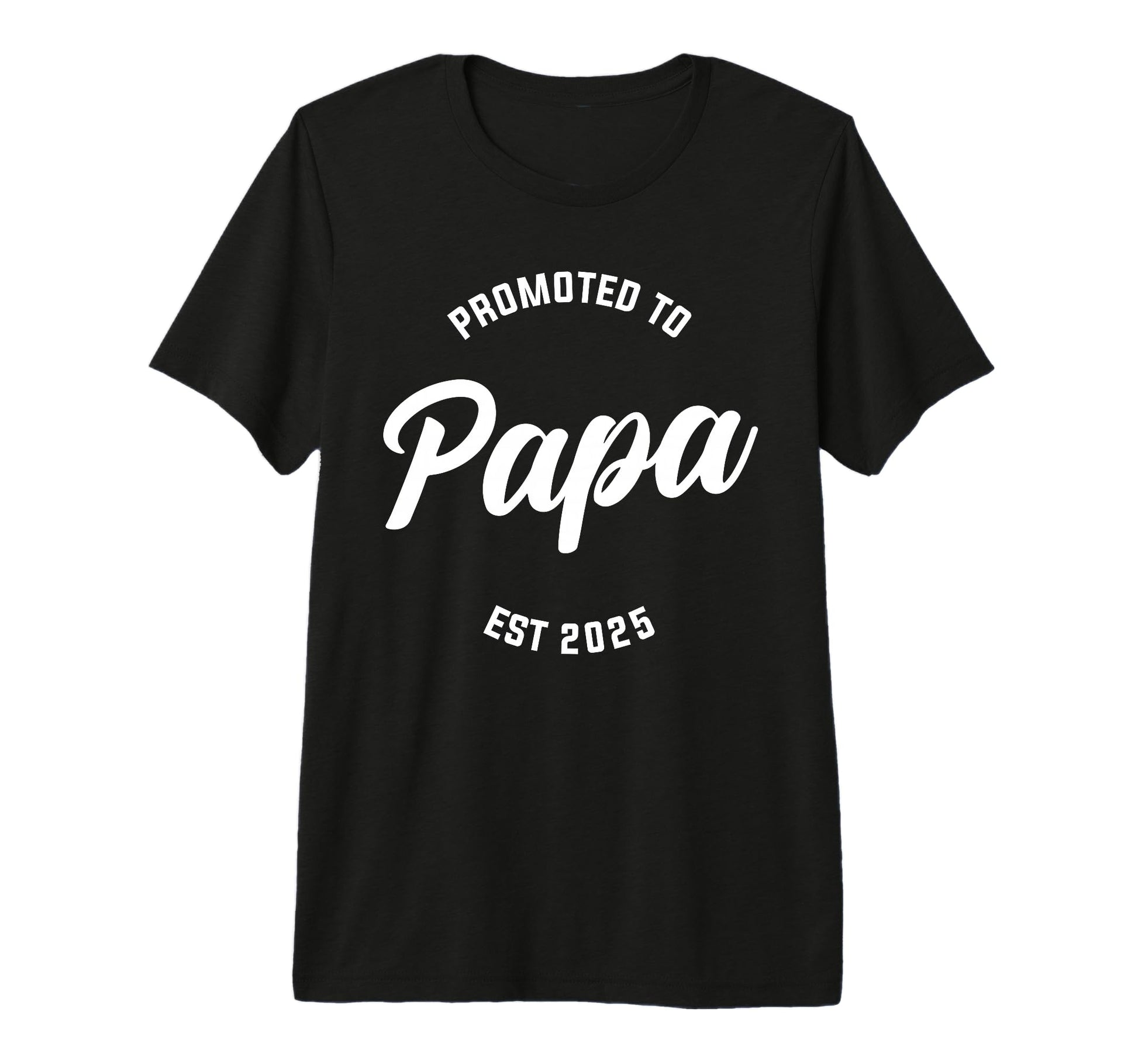 Mens Promoted To Papa Est 2025 T-Shirt - Streetwear Style for Adults - T-Shirt, Sweatshirt, Hoodie