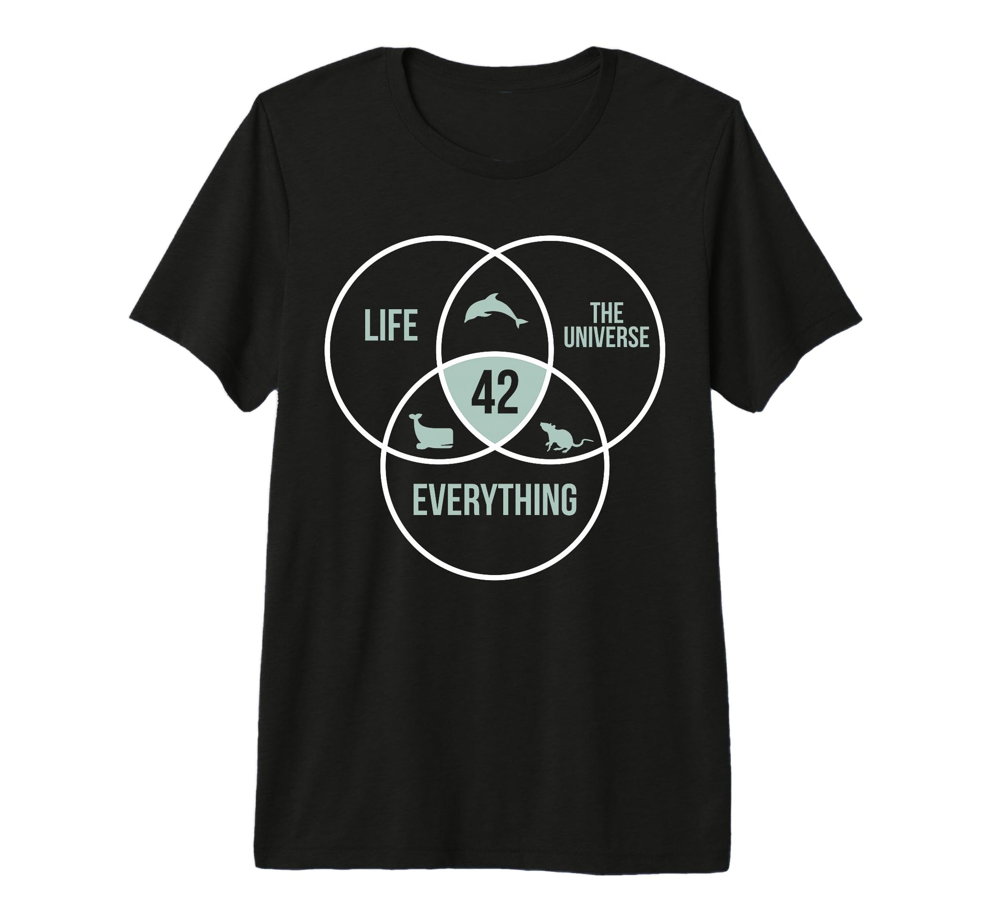 Life Universe And Everything 42 Answer T-Shirt - Unique Graphic for Adults - T-Shirt, Sweatshirt, Hoodie