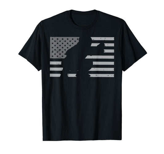 Baseball Catcher American Flag Usa T-Shirt - Minimalist Print Men Women - T-Shirt, Sweatshirt, Hoodie