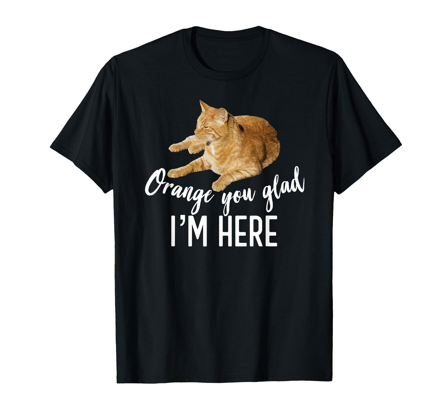 Orange You Glad Im Here Tabby Cat T-Shirt - Aesthetic Graphic Men Women - T-Shirt, Sweatshirt, Hoodie