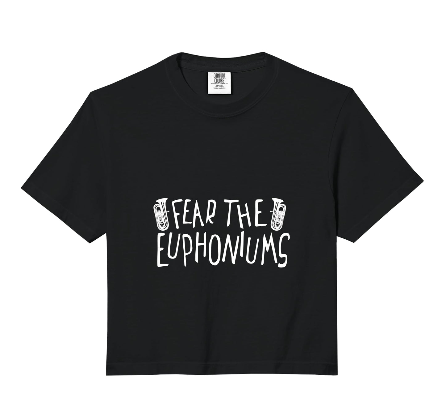 Fear Euphoniums Marching Band Tuba Hoodie - Minimalist Print for Adults - T-Shirt, Sweatshirt, Hoodie