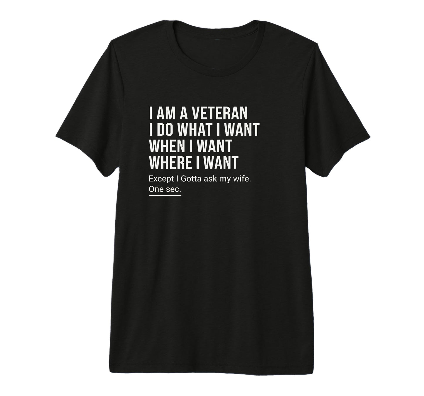 I Am Veteran I Do What I Want When I T-Shirt - Novelty Apparel for Adults - T-Shirt, Sweatshirt, Hoodie