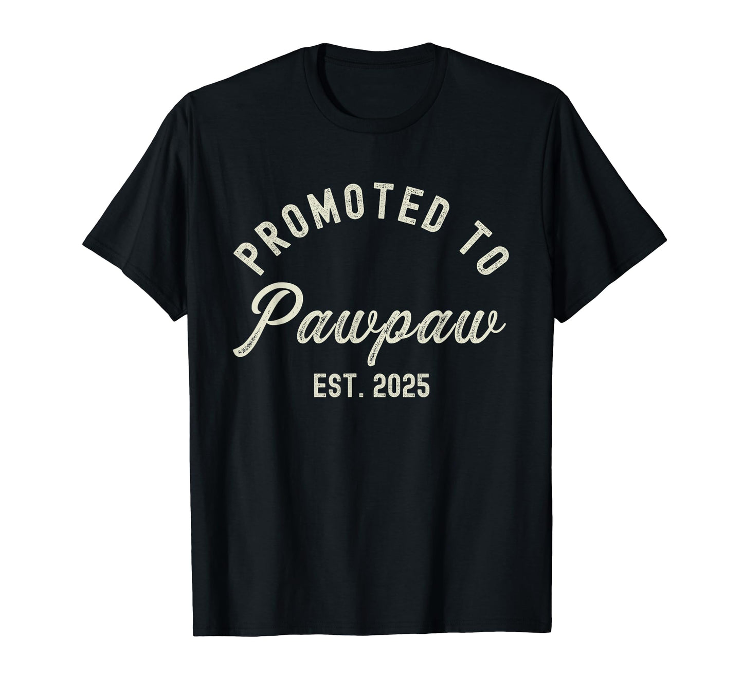 Promoted To Pawpaw Est 2025 Fathers Day T-Shirt - Graphic Print Men Women - T-Shirt, Sweatshirt, Hoodie
