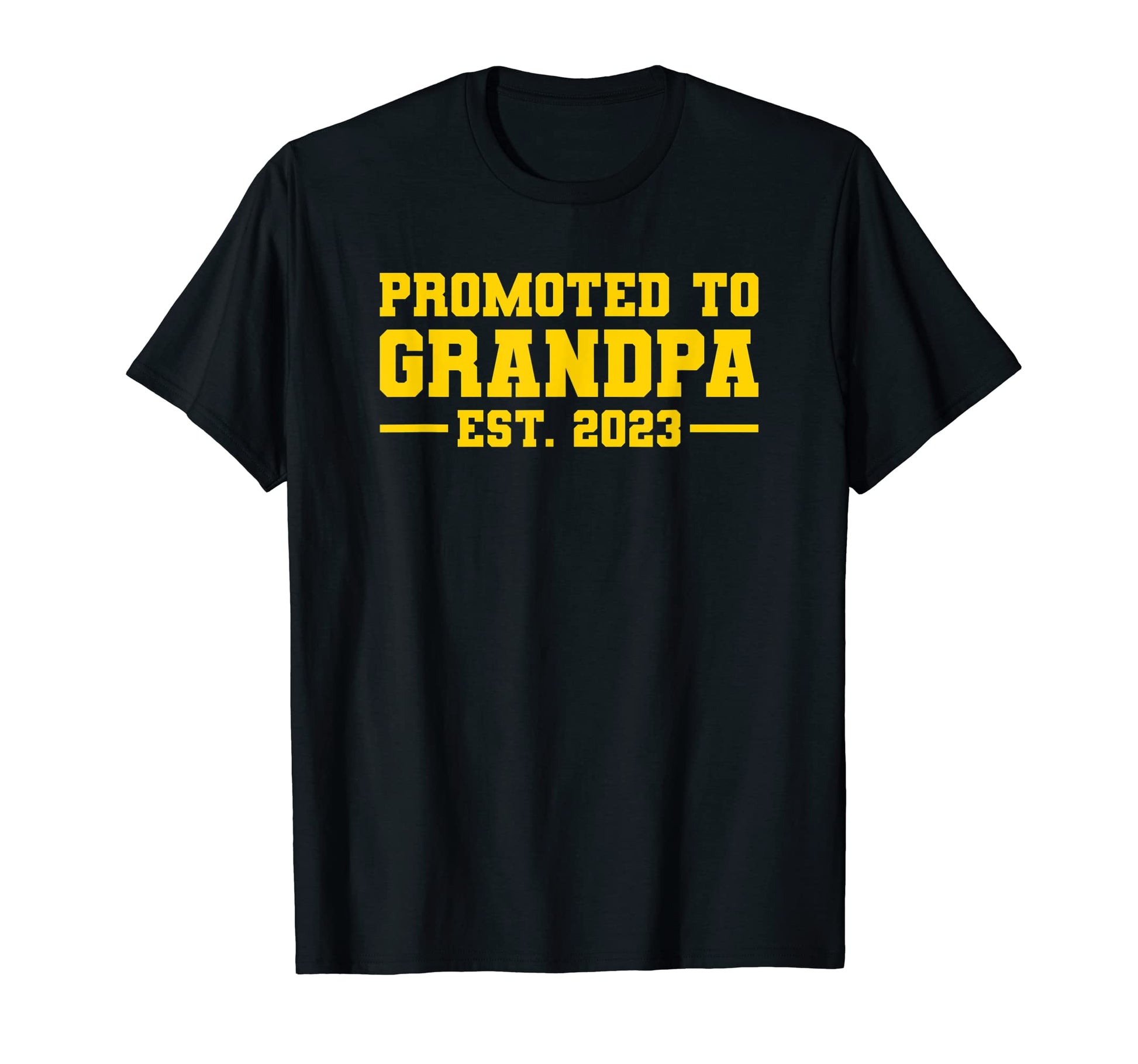 Promoted To Mommy And Daddy 2023 T-Shirt - Unique Graphic for Adults - T-Shirt, Sweatshirt, Hoodie
