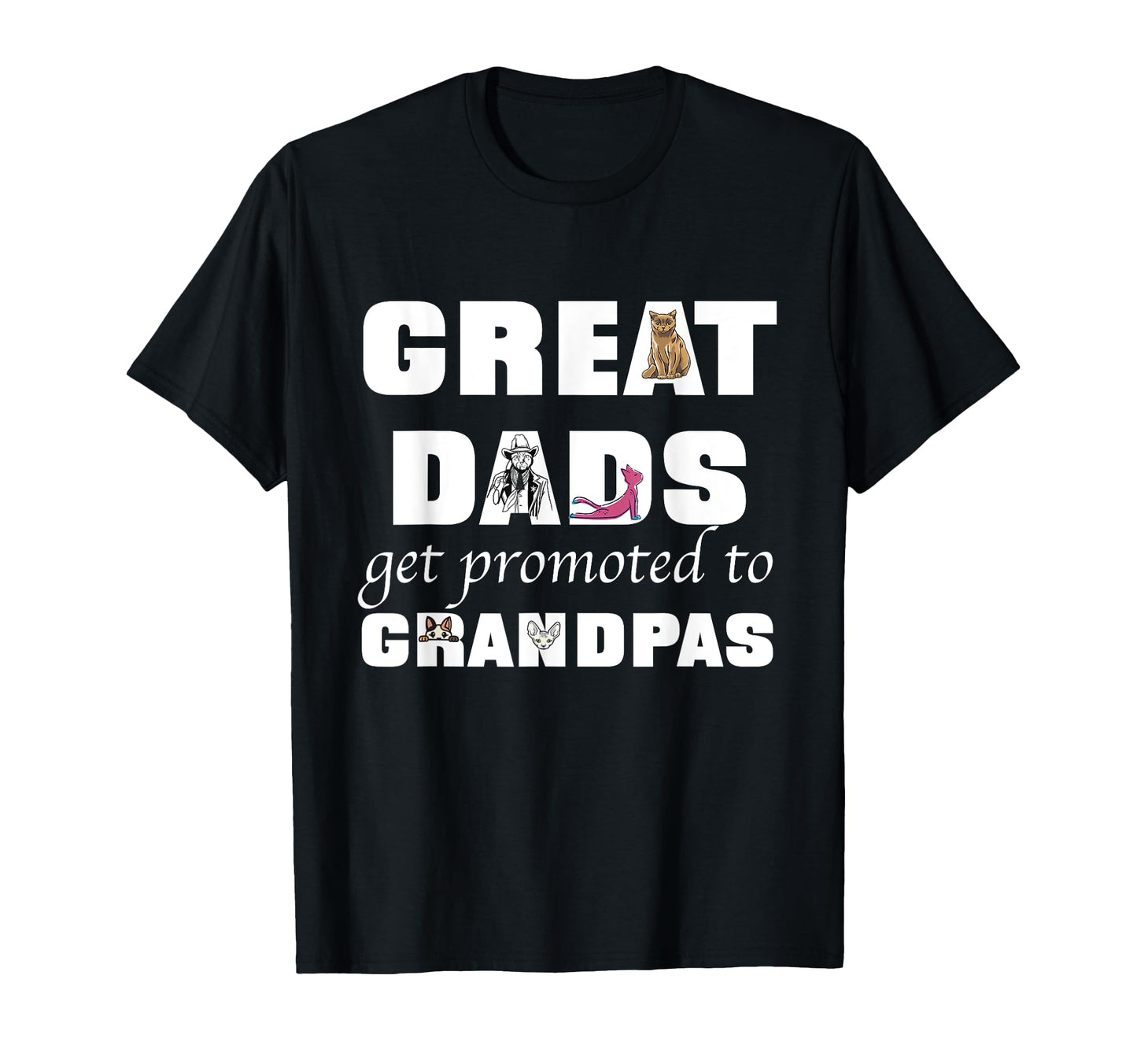 Great Dads Get Promoted To Grandpas T-Shirt - Aesthetic Graphic for Adults - T-Shirt, Sweatshirt, Hoodie