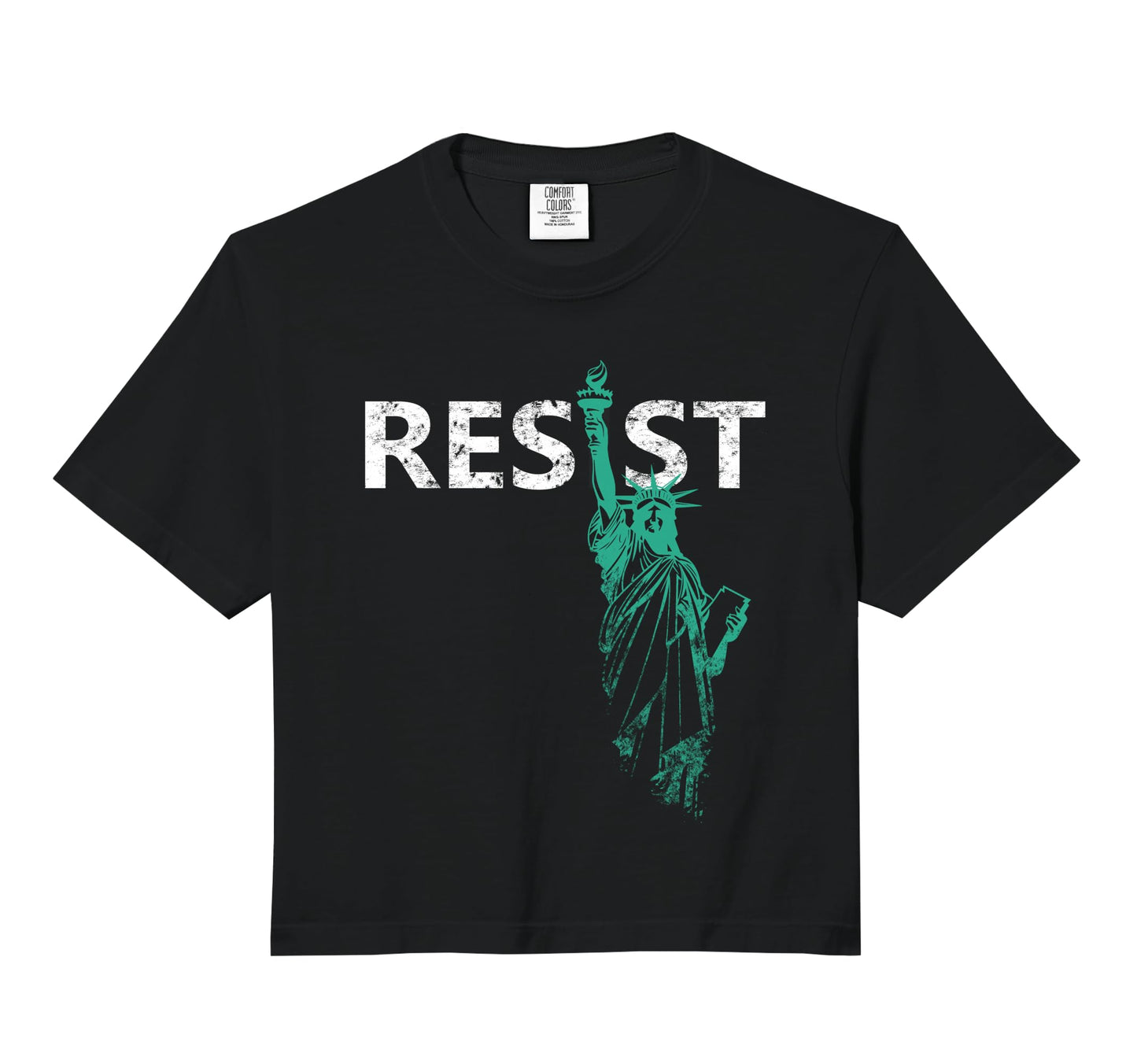 Distressed Statue Liberty Resist Hoodie - Novelty Apparel for Adults - T-Shirt, Sweatshirt, Hoodie