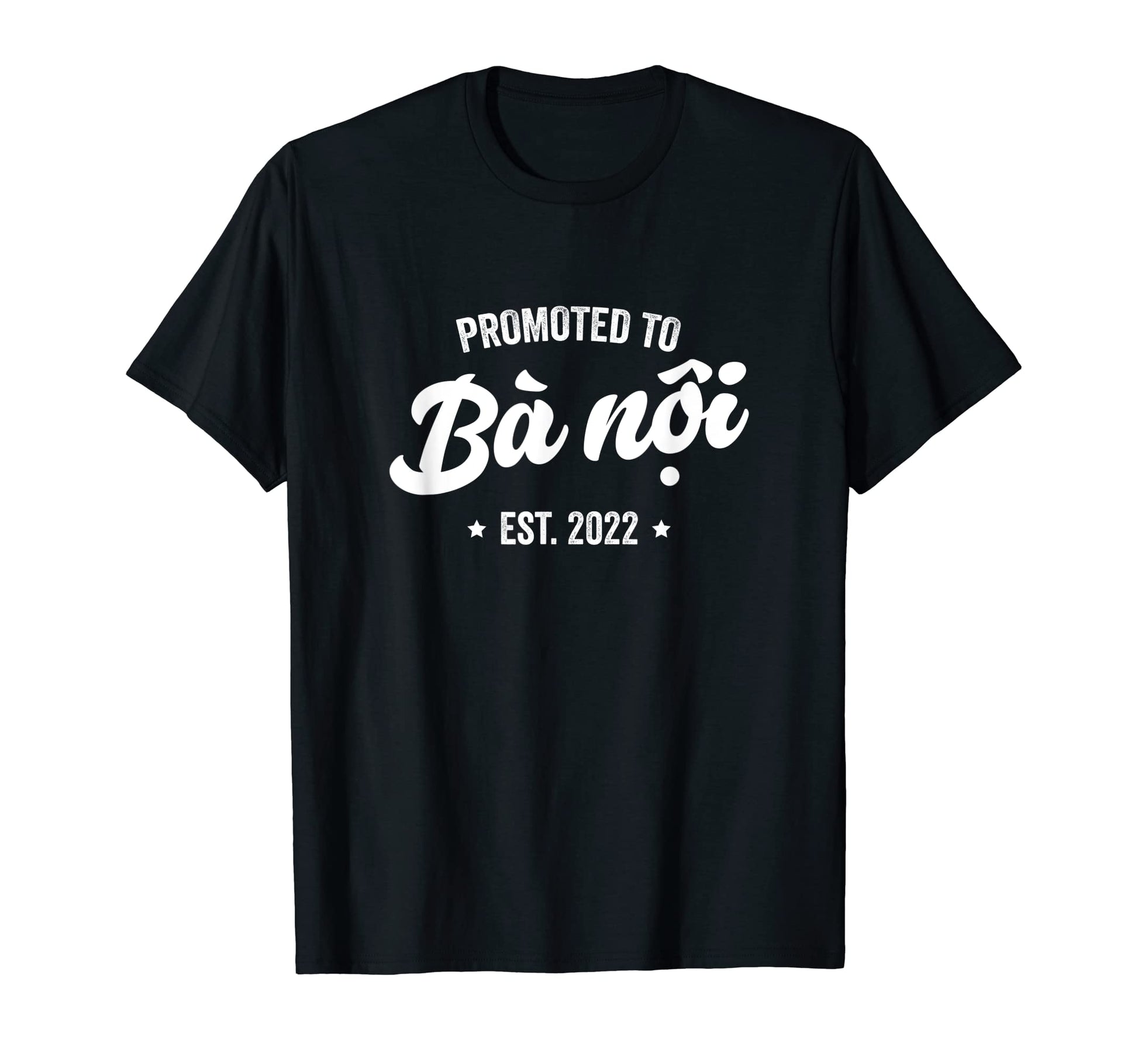 Promoted To Ba Noi 2022 Vietnamese T-Shirt - Graphic Print Men Women - T-Shirt, Sweatshirt, Hoodie