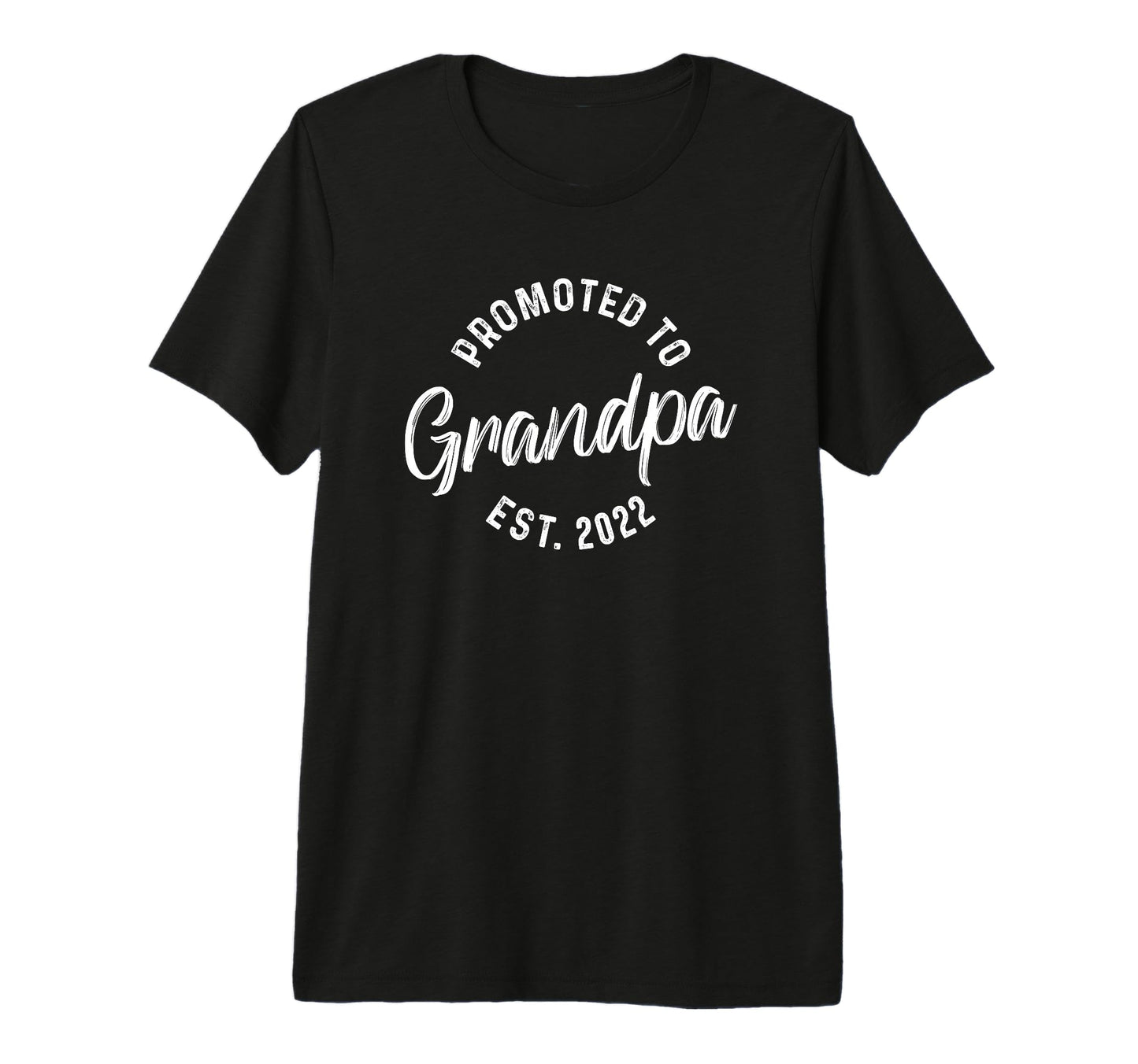 Promoted To Grandpa 2022 Promoted T-Shirt - Aesthetic Graphic for Adults - T-Shirt, Sweatshirt, Hoodie