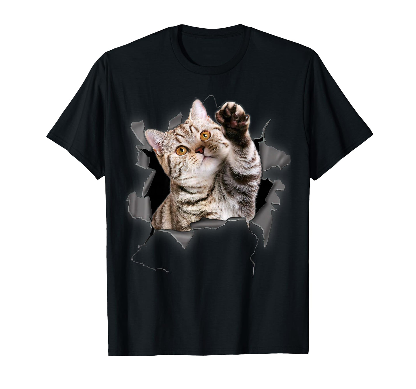 Cat Torn Cloth Funny Cat Lover Cat T-Shirt - Aesthetic Graphic for Adults - T-Shirt, Sweatshirt, Hoodie