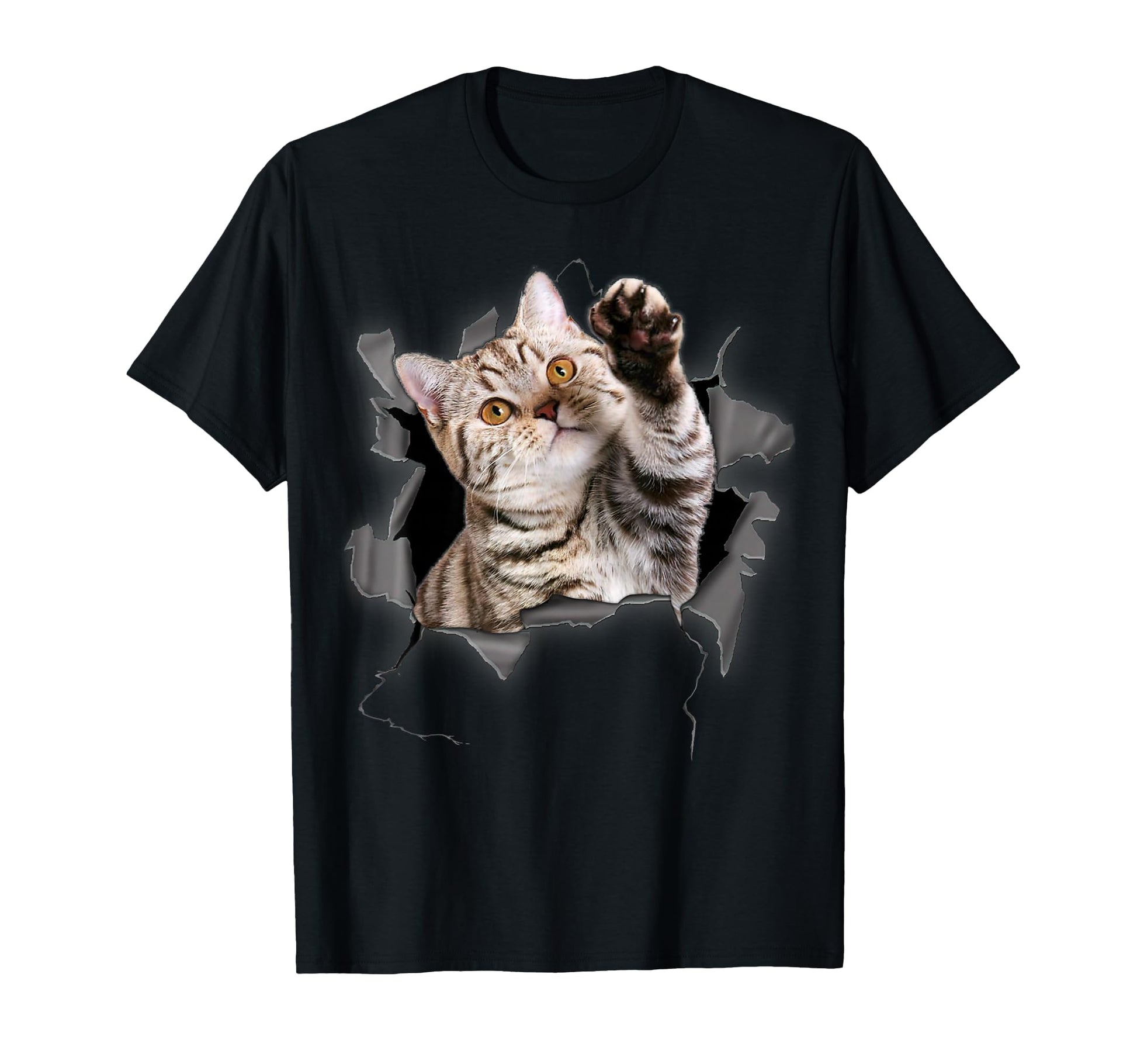 Cat Torn Cloth Funny Cat Lover Cat T-Shirt - Aesthetic Graphic for Adults - T-Shirt, Sweatshirt, Hoodie