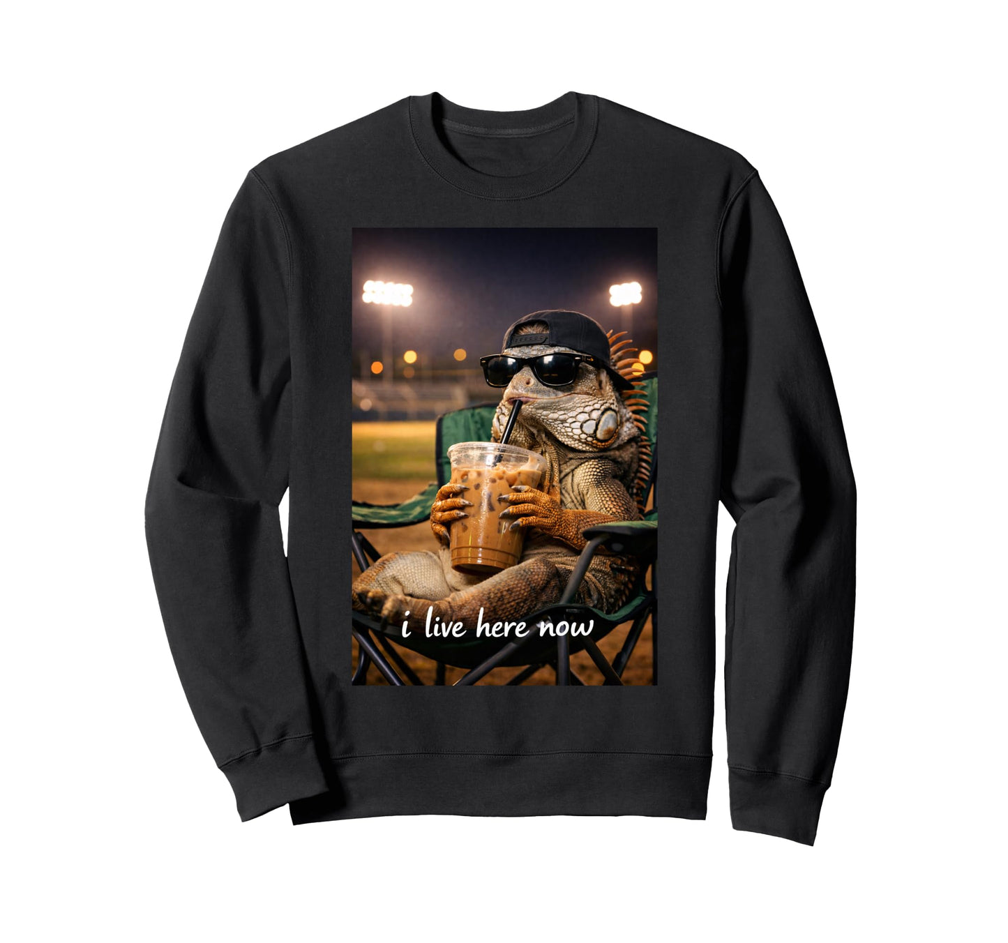 Funny Iguanas Ballfield Baseball Field Sweatshirt - Trendy Graphic Unisex - T-Shirt, Sweatshirt, Hoodie