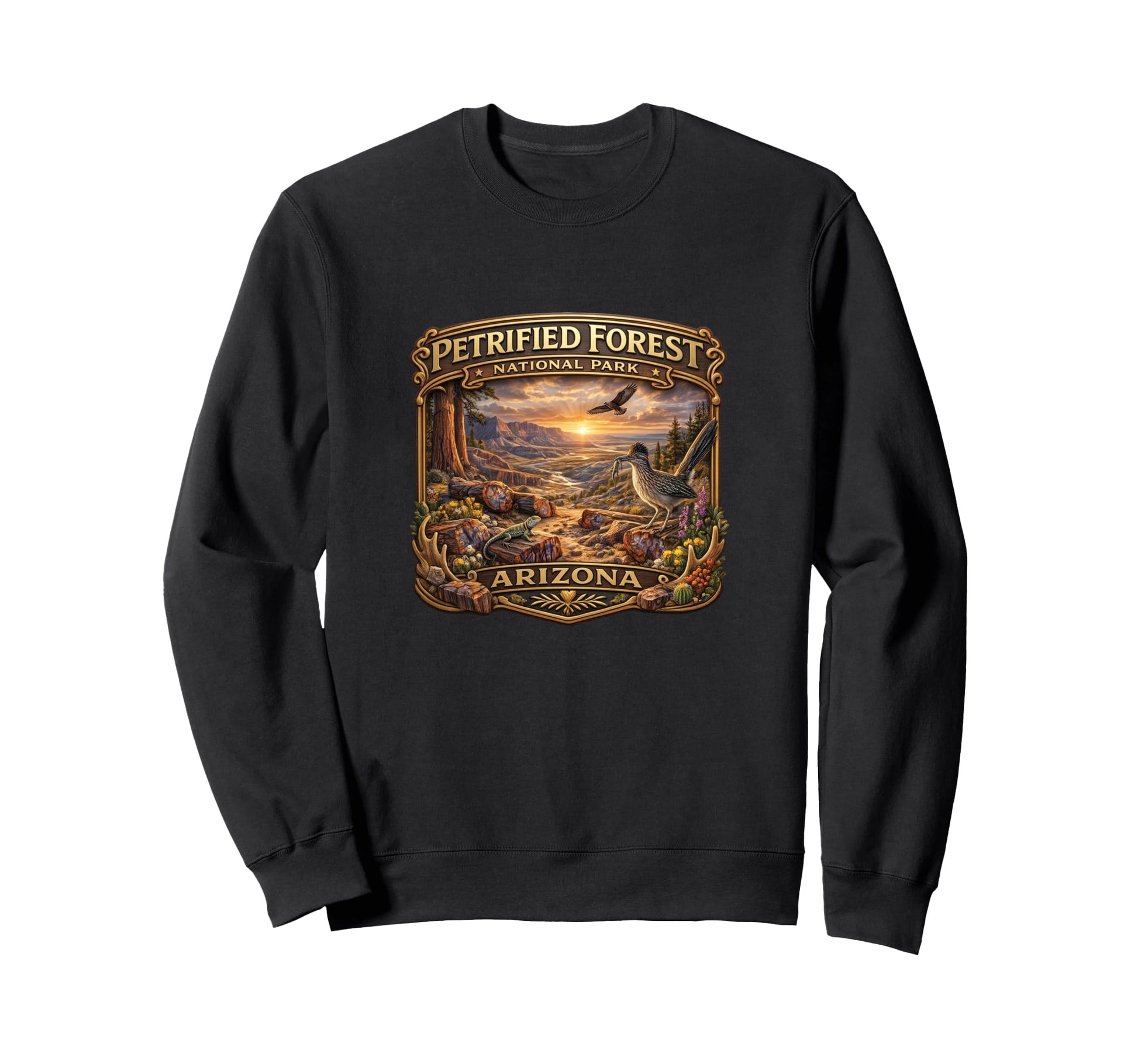 Petrified Forest National Park Sweatshirt - Novelty Apparel Men Women - T-Shirt, Sweatshirt, Hoodie