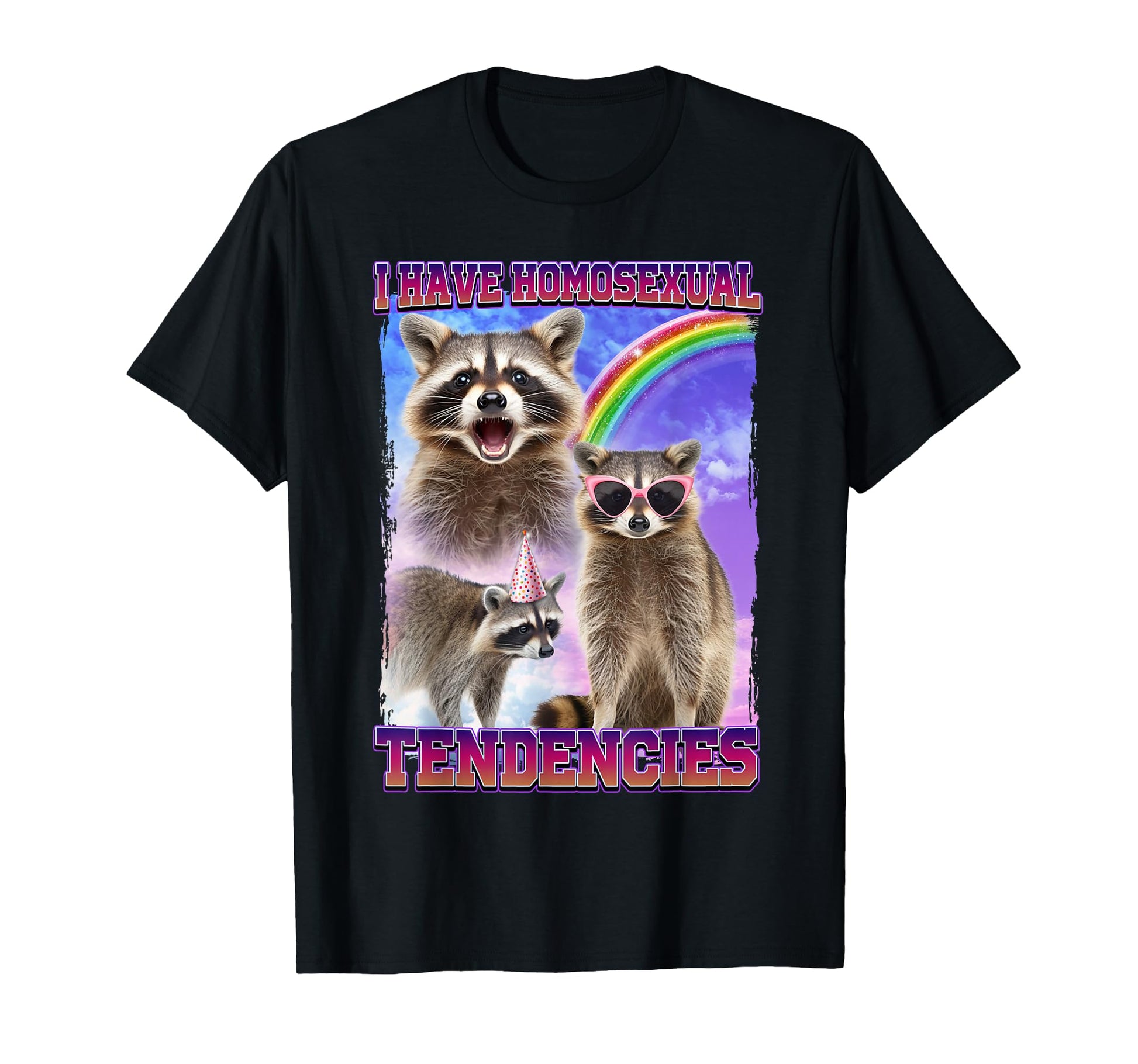 I Have Homosexual Tendencies Raccoon T-Shirt - Streetwear Style for Adults - T-Shirt, Sweatshirt, Hoodie