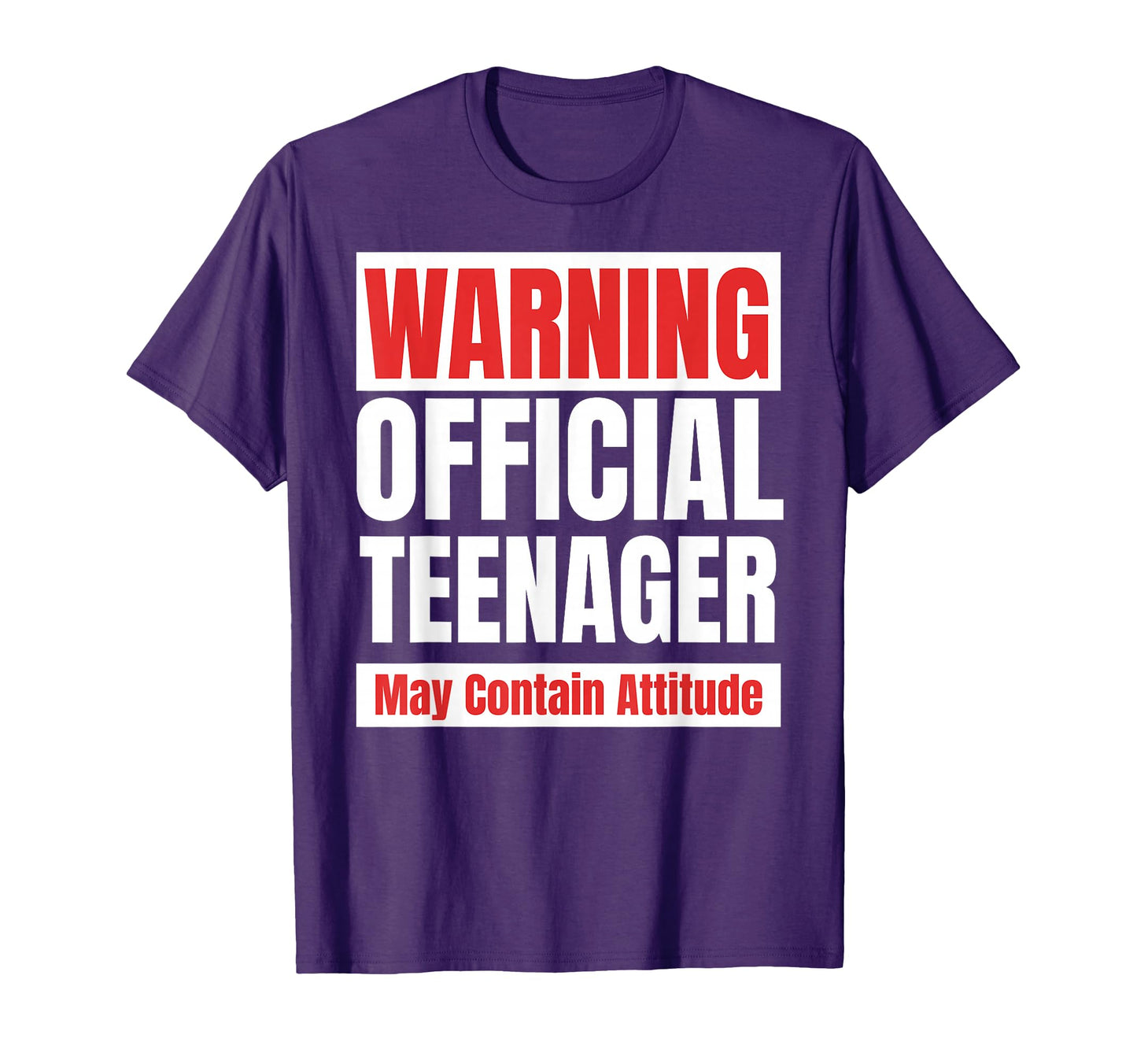 Teenager Funny 13 Birthday 13Th T-Shirt - Custom Art Print for Adults - T-Shirt, Sweatshirt, Hoodie