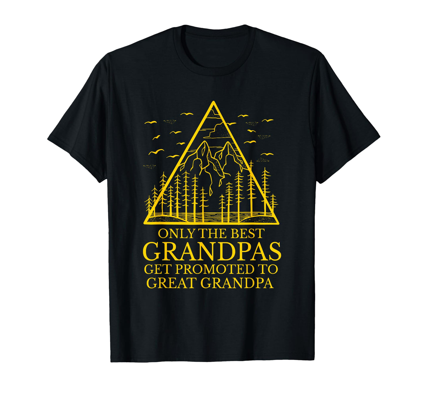 Only Best Grandpas Get Promoted To Great T-Shirt - Streetwear Style Unisex - T-Shirt, Sweatshirt, Hoodie