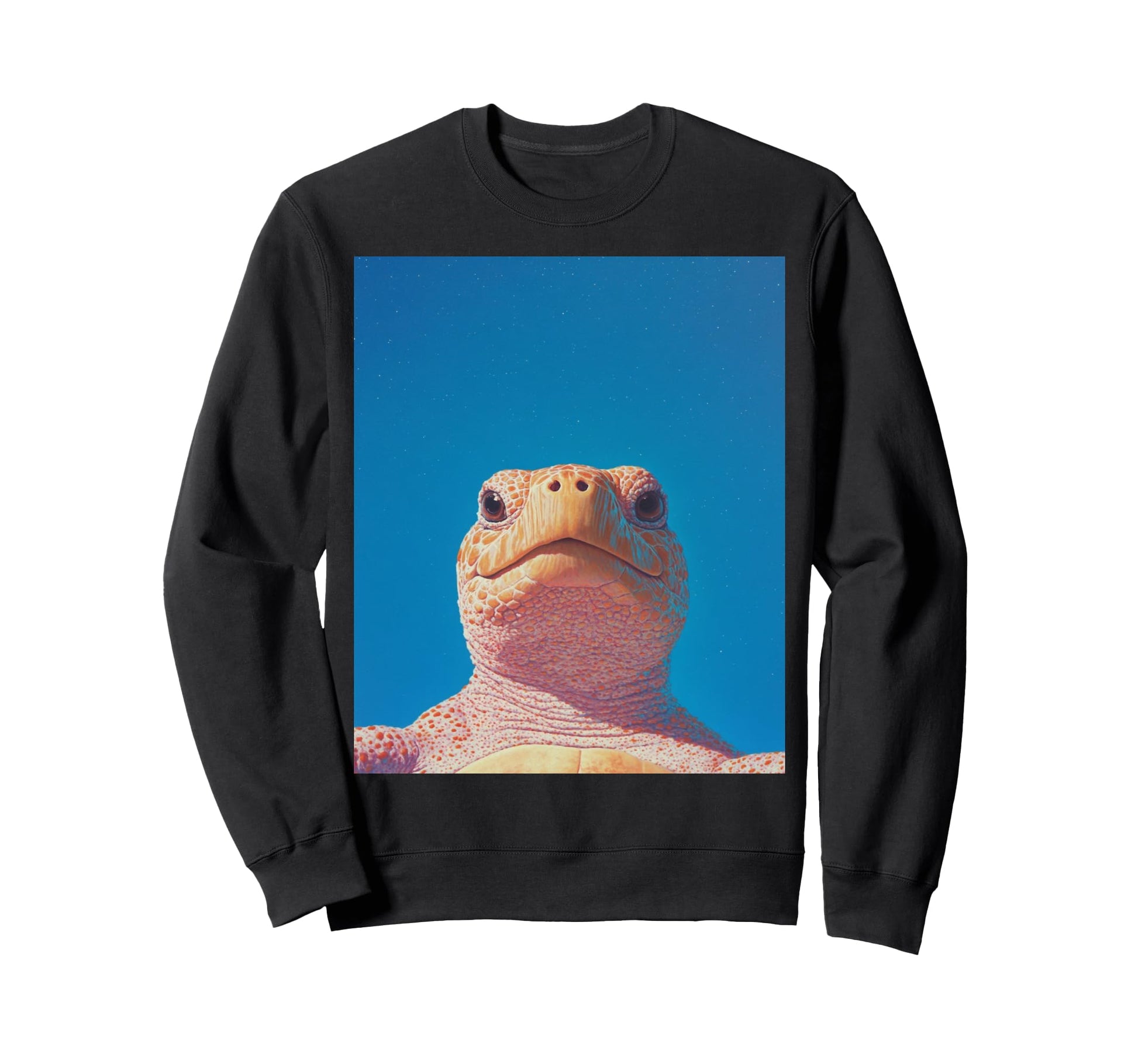 Trendy 2025 Tops Turtle Sweatshirt - Minimalist Print Men Women - T-Shirt, Sweatshirt, Hoodie