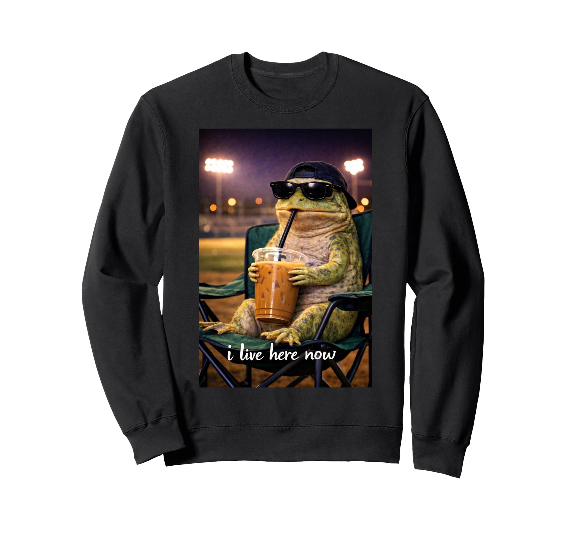 Funny Frog Ballfield Baseball Field I Sweatshirt - Custom Art Print Unisex - T-Shirt, Sweatshirt, Hoodie