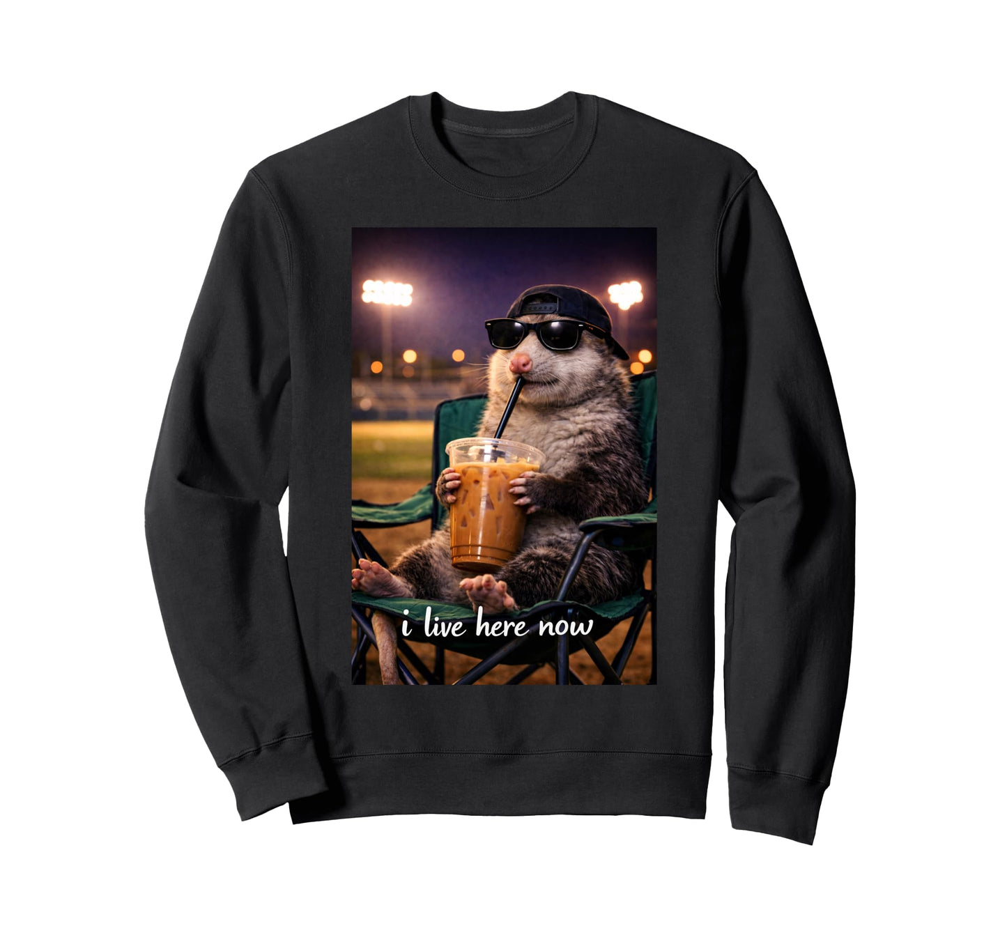 Funny Opossum Ballfield Baseball Sweatshirt - Aesthetic Graphic Men Women - T-Shirt, Sweatshirt, Hoodie