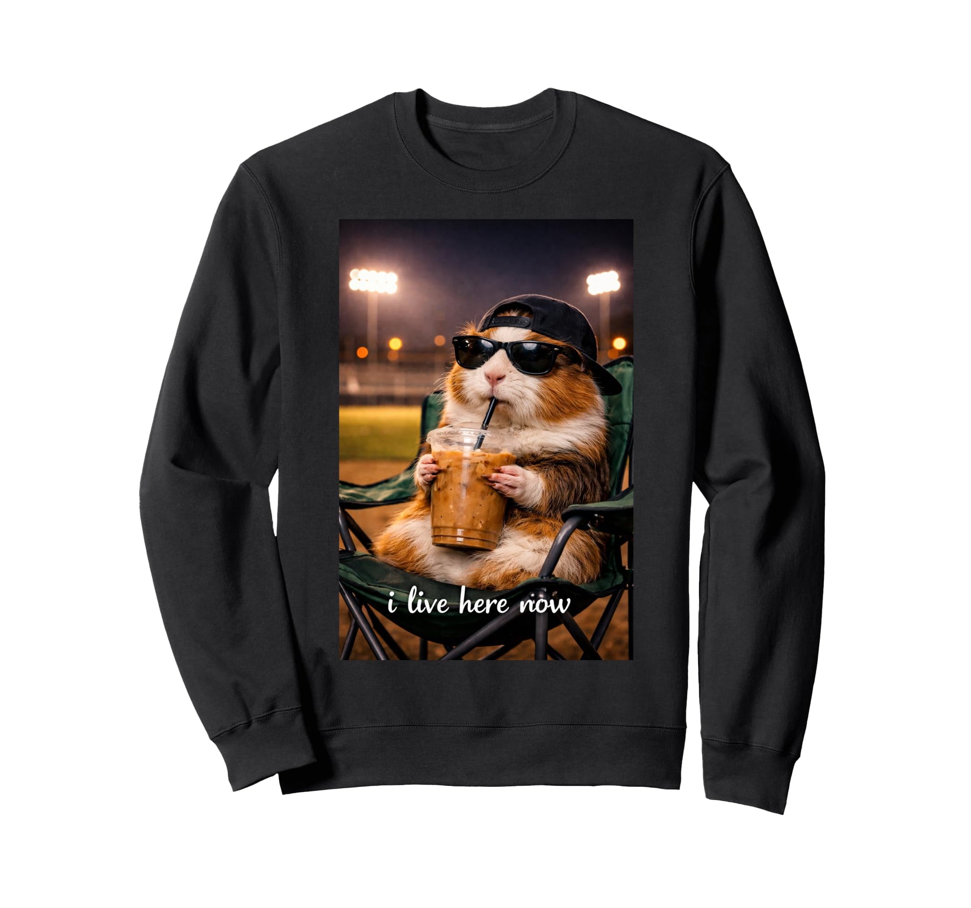 Funny Guinea Pig Ballfield Baseball Sweatshirt - Streetwear Style Unisex - T-Shirt, Sweatshirt, Hoodie