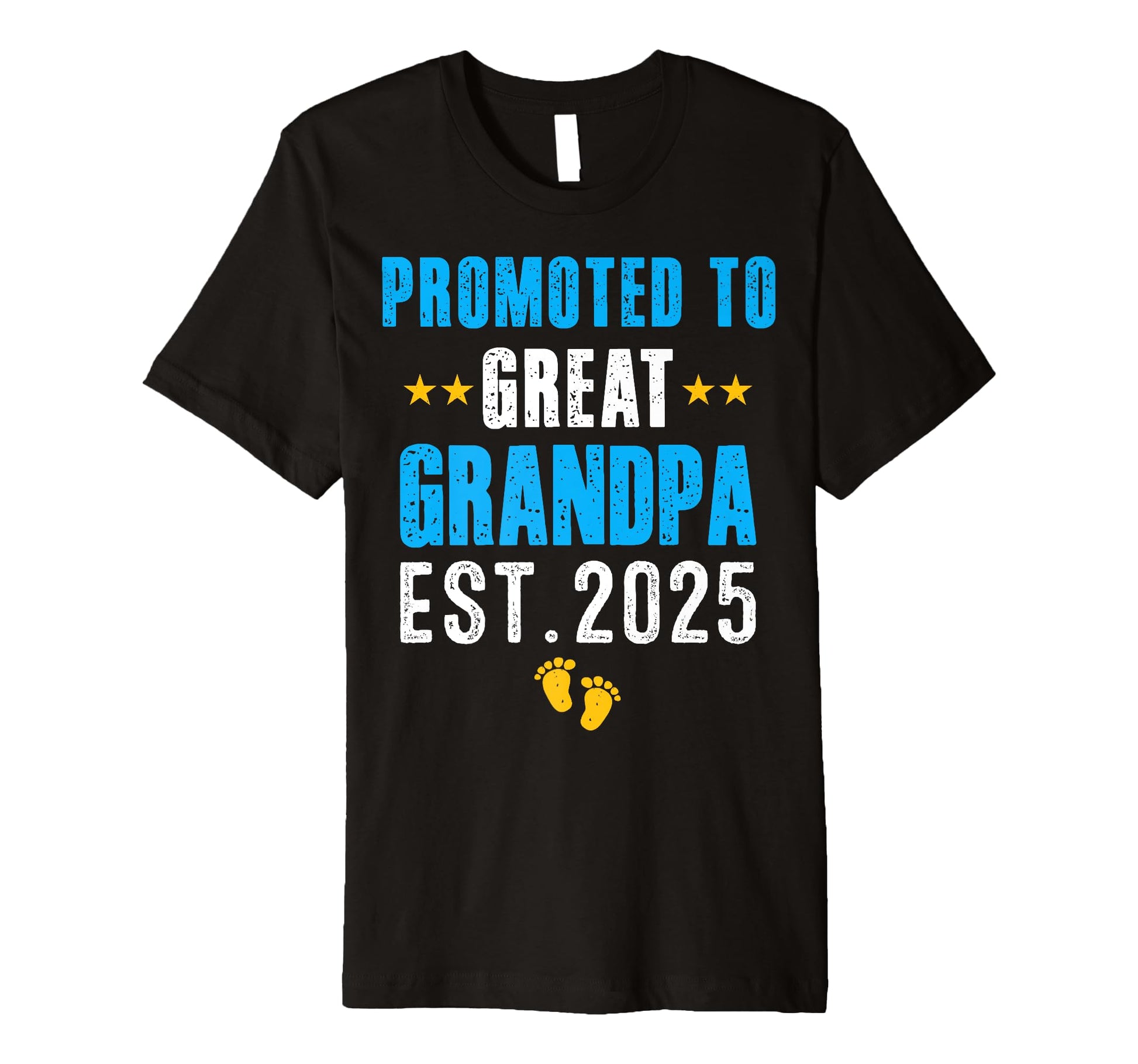 Funny Promoted To Great Grandpa 2025 T-Shirt - Unique Graphic for Adults - T-Shirt, Sweatshirt, Hoodie