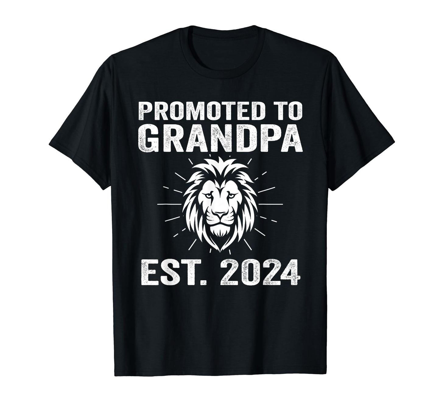 Promoted To Grandpa Est 2024 Grandpa T-Shirt - Graphic Print for Adults - T-Shirt, Sweatshirt, Hoodie