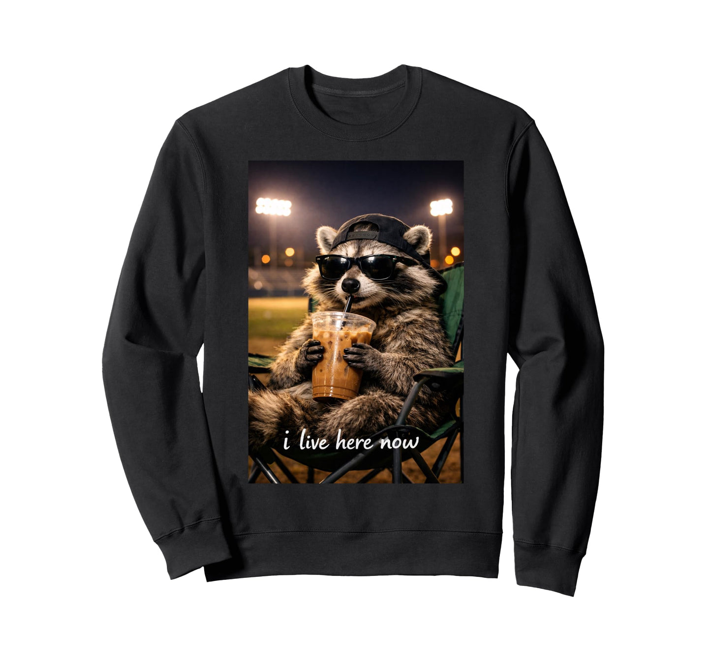 Funny Raccoon Ballfield Baseball Sweatshirt - Minimalist Print Men Women - T-Shirt, Sweatshirt, Hoodie