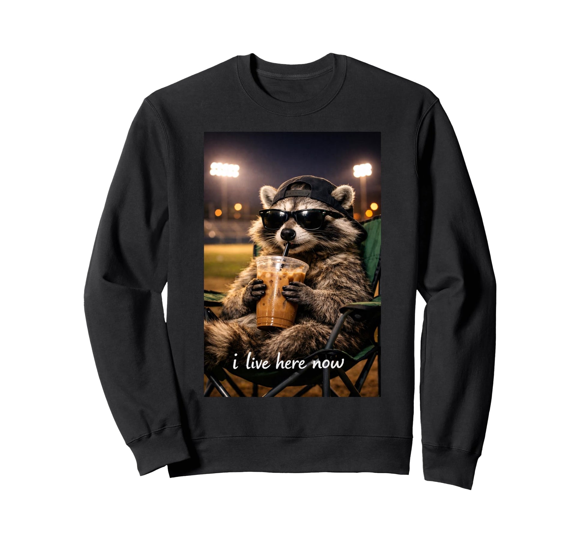 Funny Raccoon Ballfield Baseball Sweatshirt - Minimalist Print Men Women - T-Shirt, Sweatshirt, Hoodie