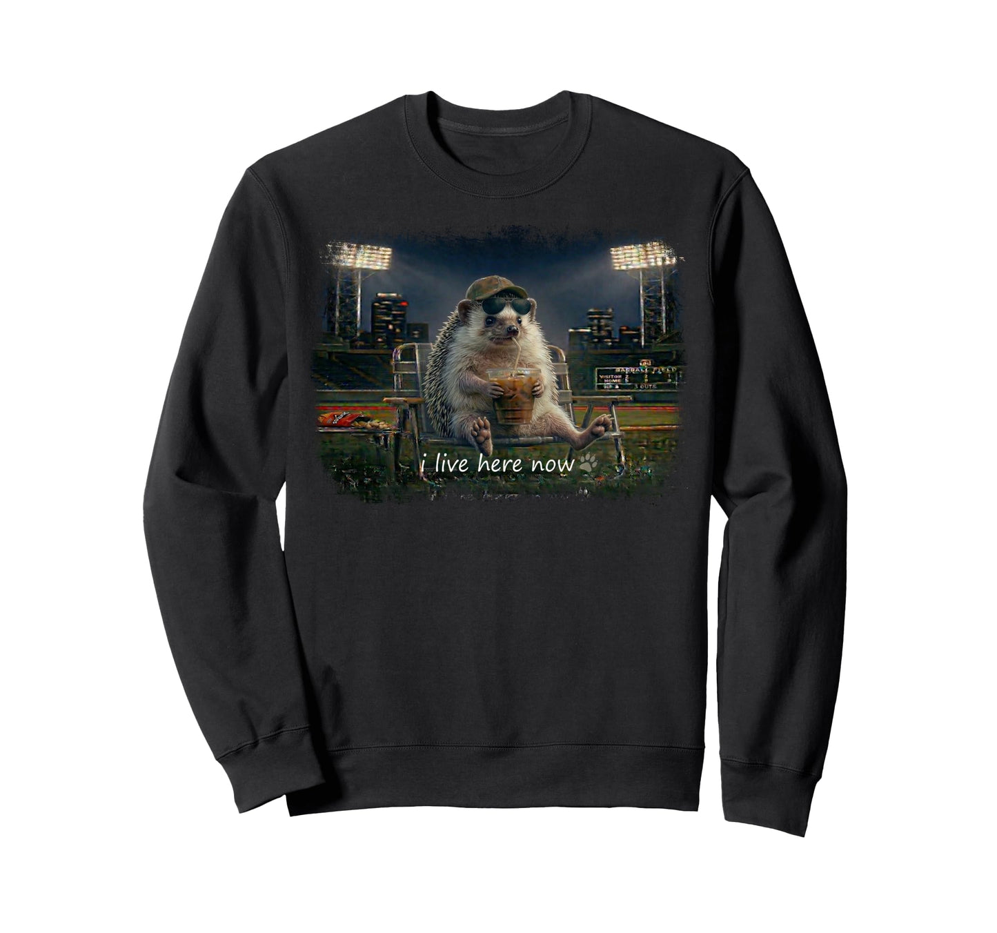 Funny Hedgehog Ballfield Baseball Sweatshirt - Trendy Graphic Men Women - T-Shirt, Sweatshirt, Hoodie