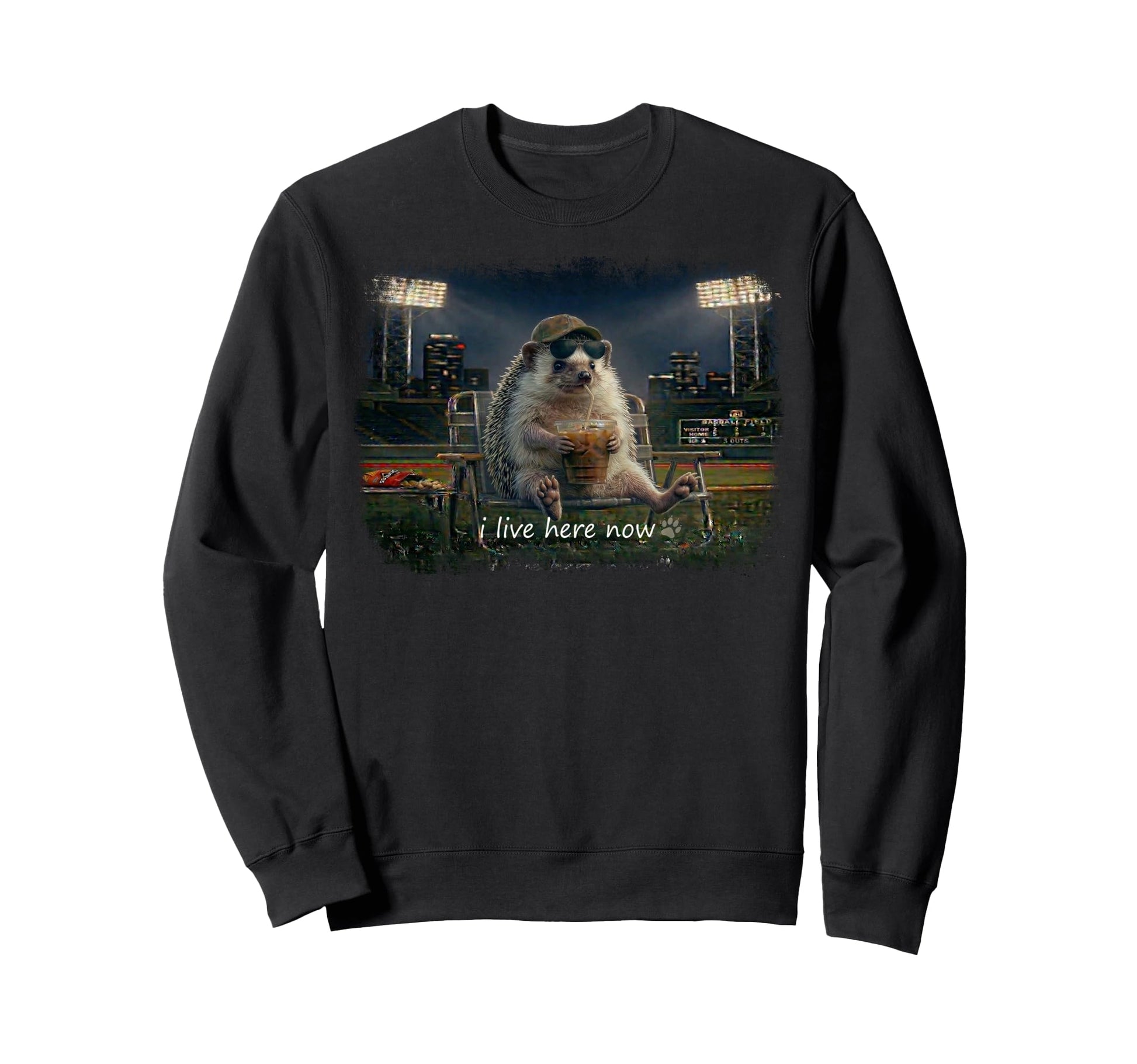 Funny Hedgehog Ballfield Baseball Sweatshirt - Trendy Graphic Men Women - T-Shirt, Sweatshirt, Hoodie