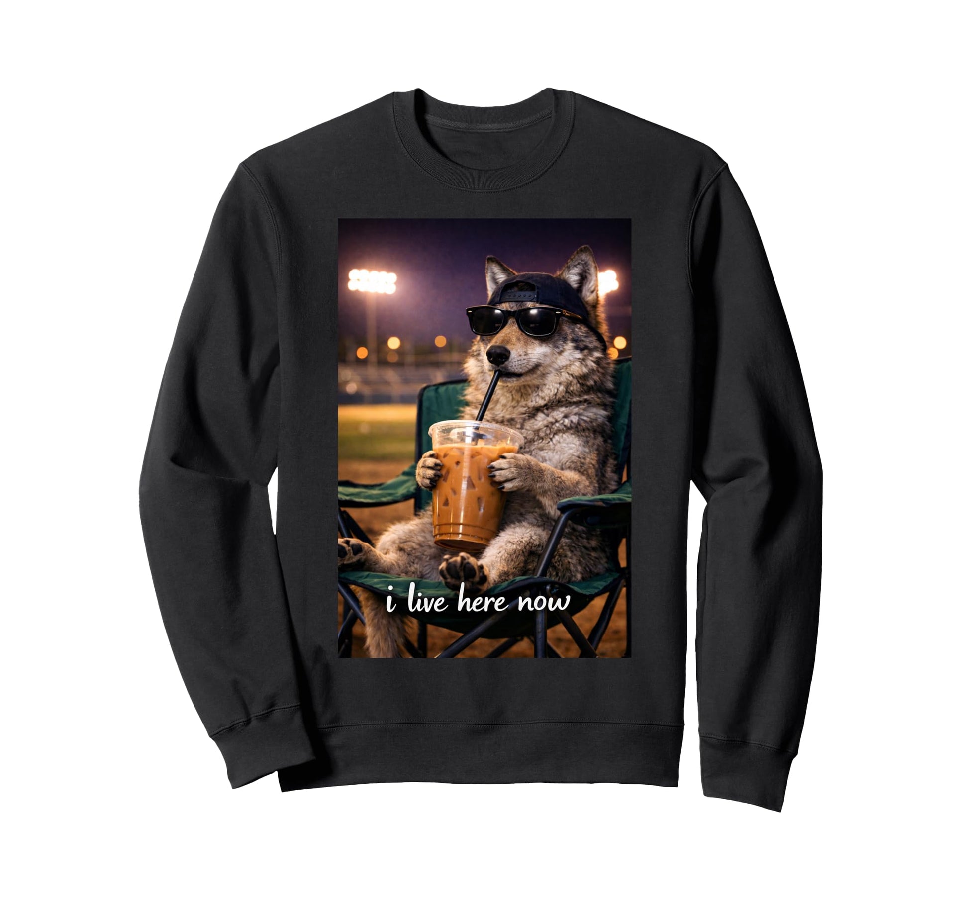 Funny Wolf Ballfield Baseball Field Sweatshirt - Novelty Apparel Men Women - T-Shirt, Sweatshirt, Hoodie