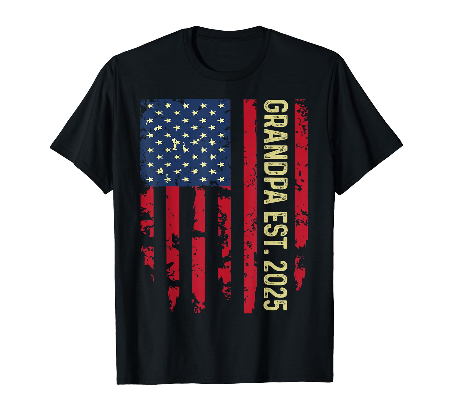 American Flag Announcement Promoted To T-Shirt - Graphic Print for Adults - T-Shirt, Sweatshirt, Hoodie