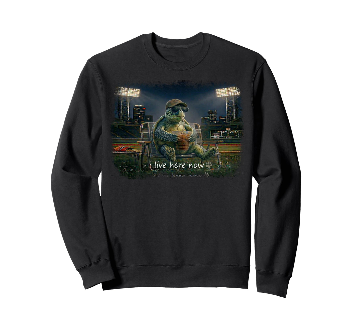 Funny Turtle Ballfield Baseball Field Sweatshirt - Novelty Apparel Unisex - T-Shirt, Sweatshirt, Hoodie