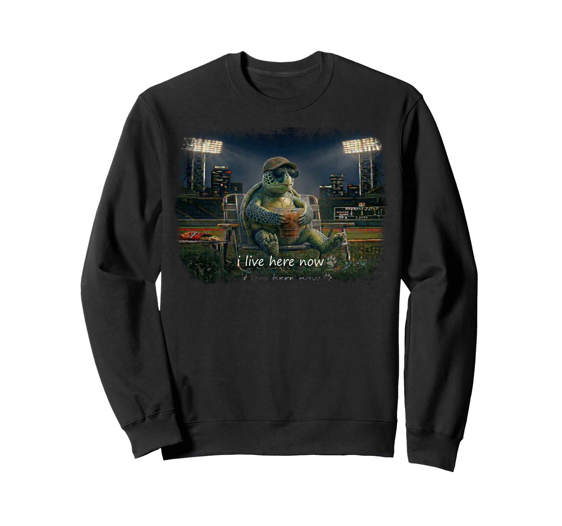 Funny Turtle Ballfield Baseball Field Sweatshirt - Novelty Apparel Unisex - T-Shirt, Sweatshirt, Hoodie