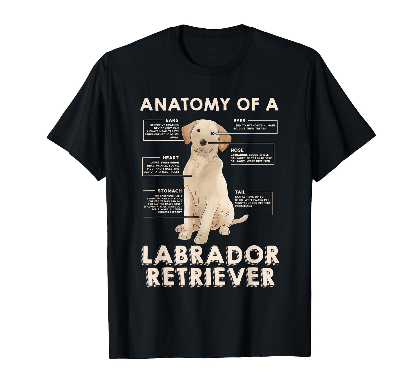 Funny Anatomy Labrador Retriever T-Shirt - Aesthetic Graphic Men Women - T-Shirt, Sweatshirt, Hoodie