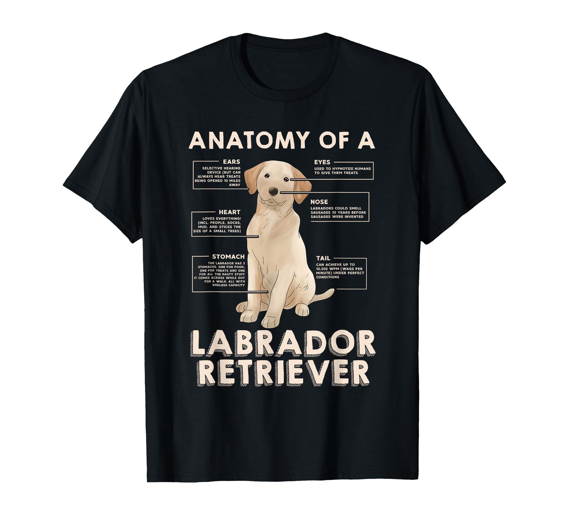 Funny Anatomy Labrador Retriever T-Shirt - Aesthetic Graphic Men Women - T-Shirt, Sweatshirt, Hoodie