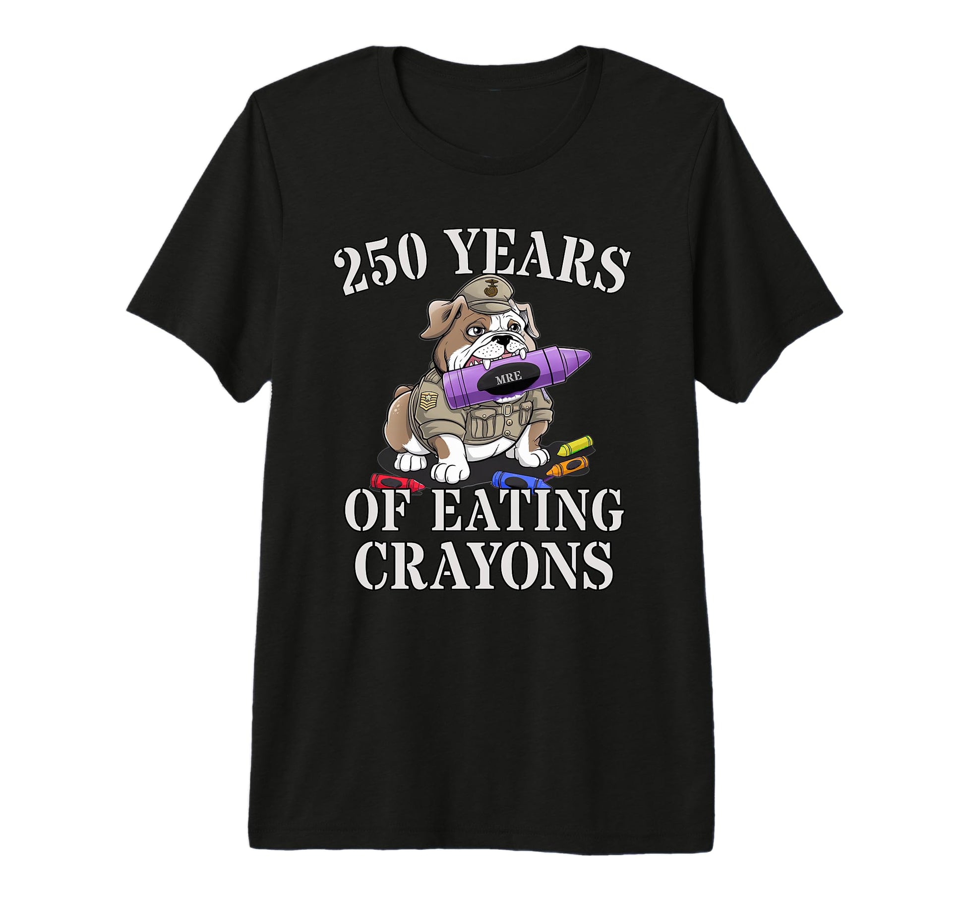 Proud 250 Years Eating Crayons T-Shirt - Aesthetic Graphic for Adults - T-Shirt, Sweatshirt, Hoodie