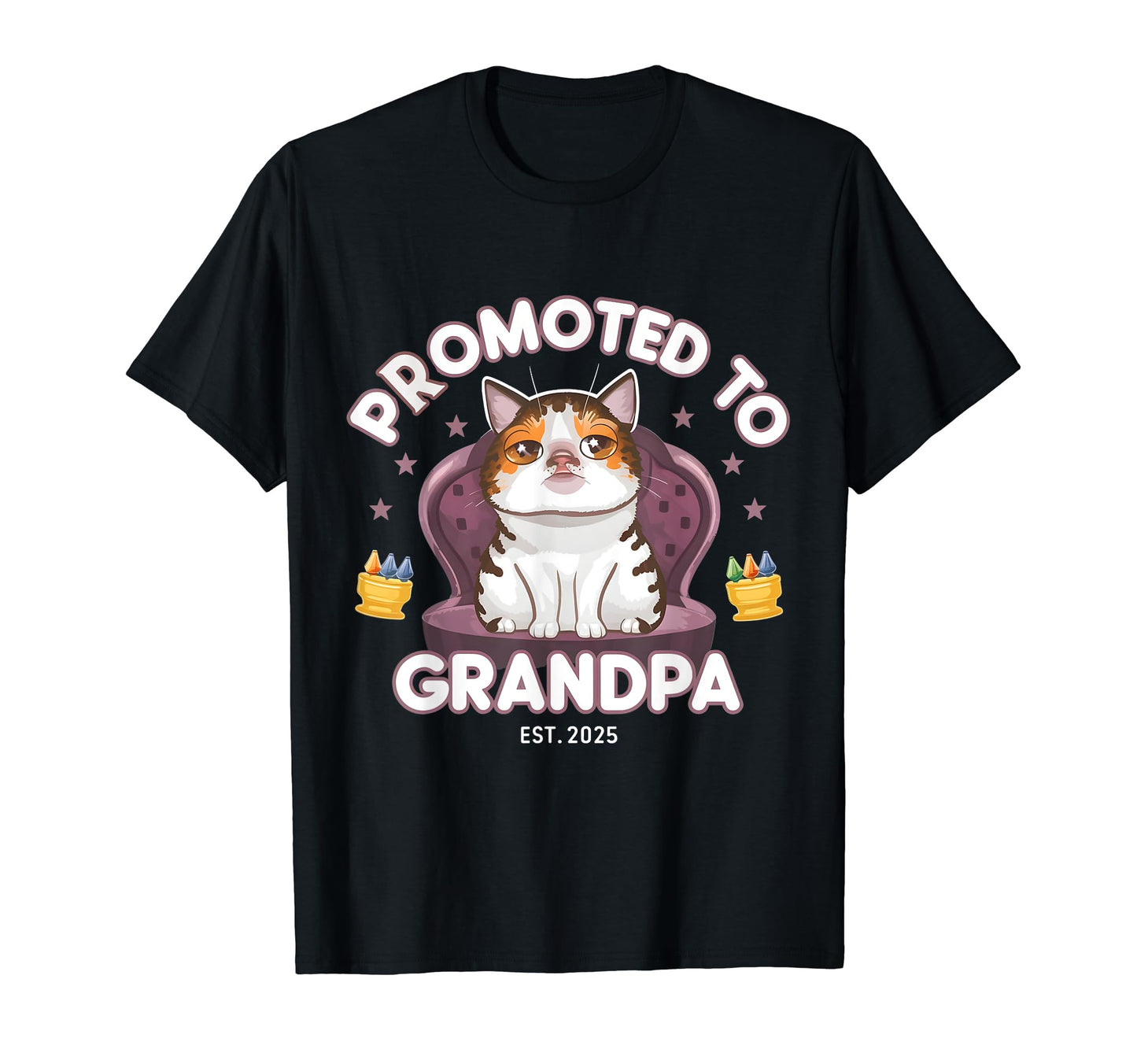 Mens Soon To Be Grandpa Promoted To T-Shirt - Minimalist Print for Adults - T-Shirt, Sweatshirt, Hoodie